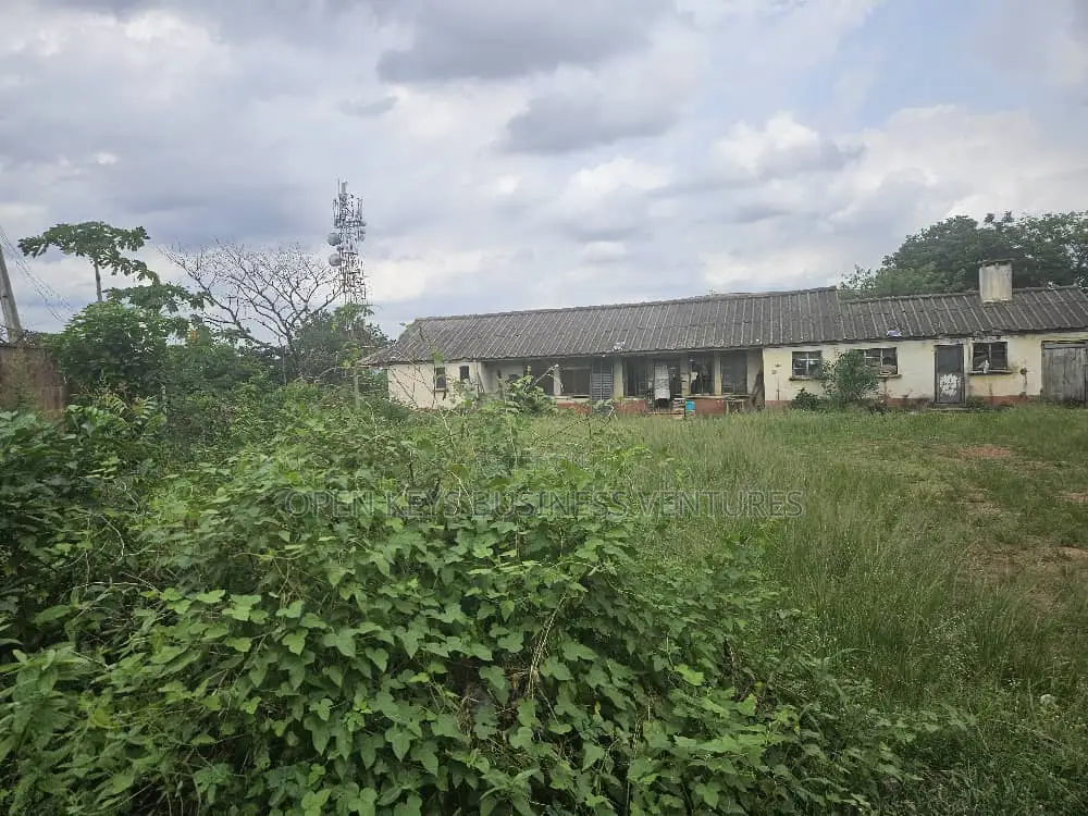 3300sqm Land in a Nice Agodi Gra in Agodi
