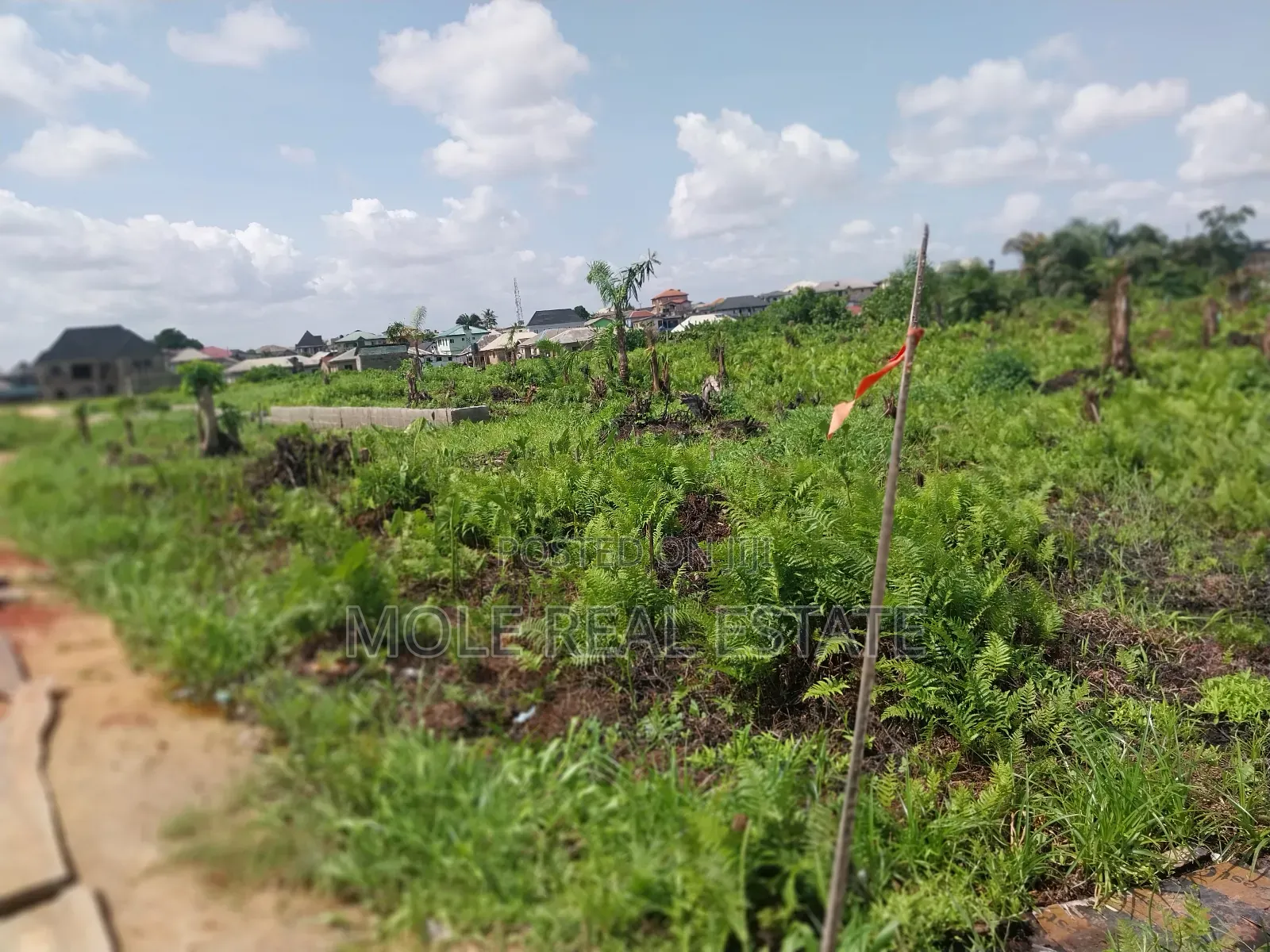 2 Plots of Land Ijegun-Ijegemo by Tailor Gasplant in Ijegun