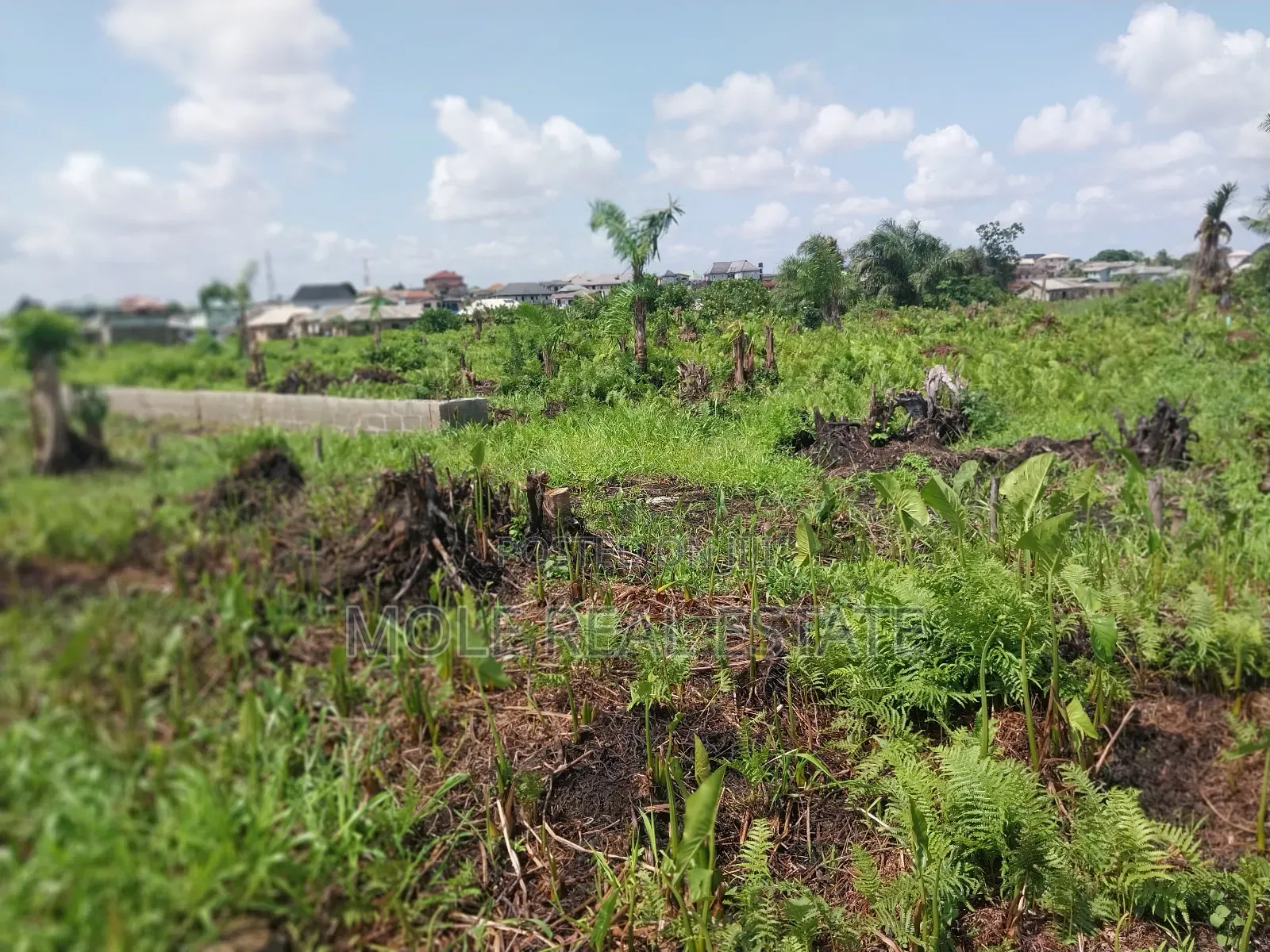 Half Plot of Land Dwarf Fenced New Ijegun Ijegemo High Way in Ijegun