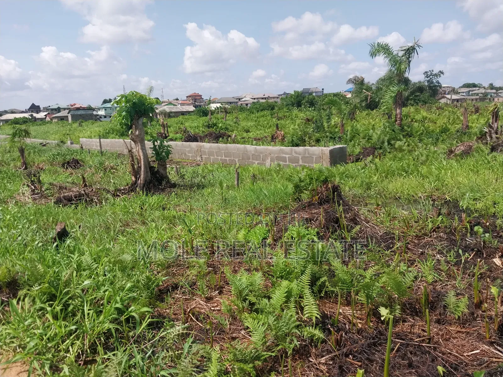 Half Plot of Land Dwarf Fenced New Ijegun Ijegemo High Way in Ijegun