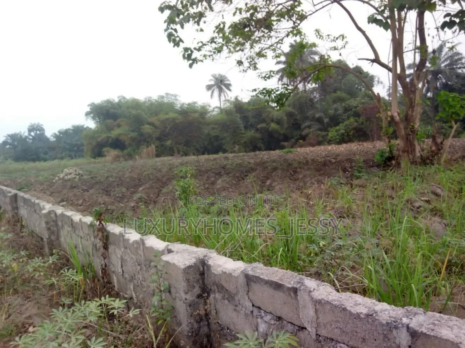 Distress Land for Sale at Atani/ Ogbaru Expressway Anambra in Idemili