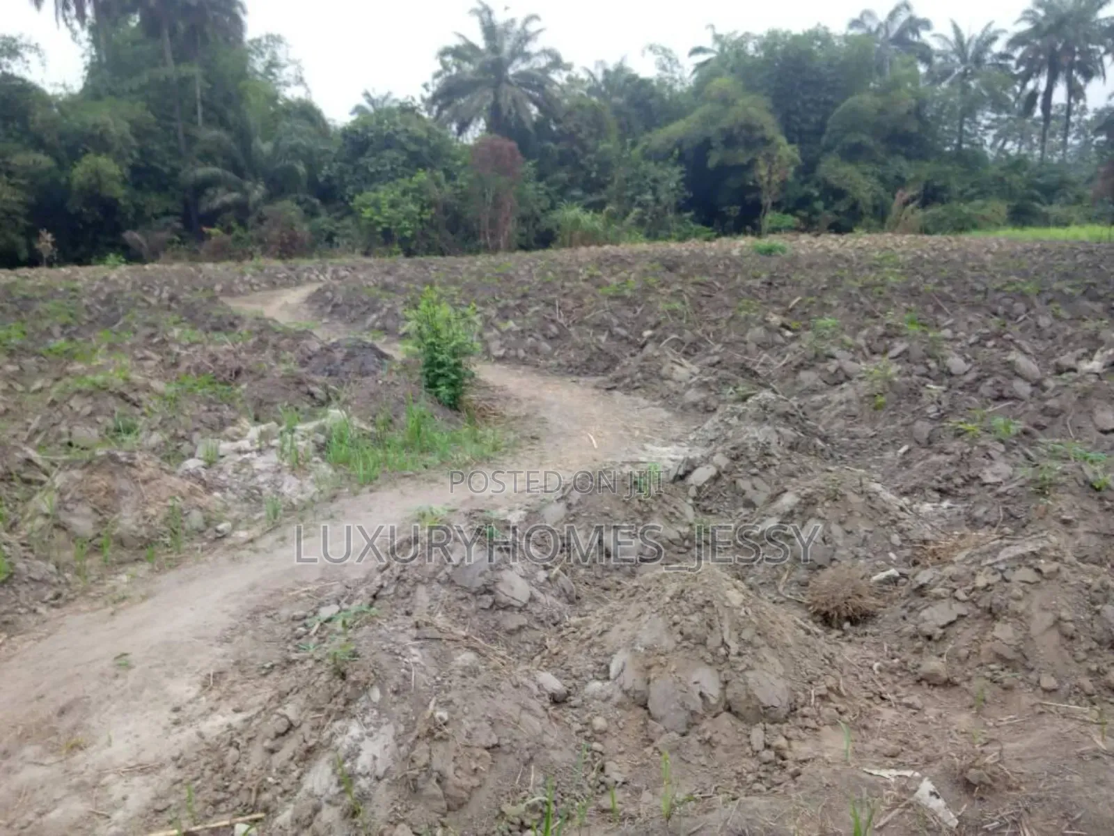 Distress Land for Sale at Atani/ Ogbaru Expressway Anambra in Idemili
