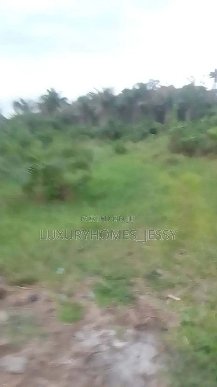 Distress Land for Sale at Atani/ Ogbaru Expressway Anambra in Idemili