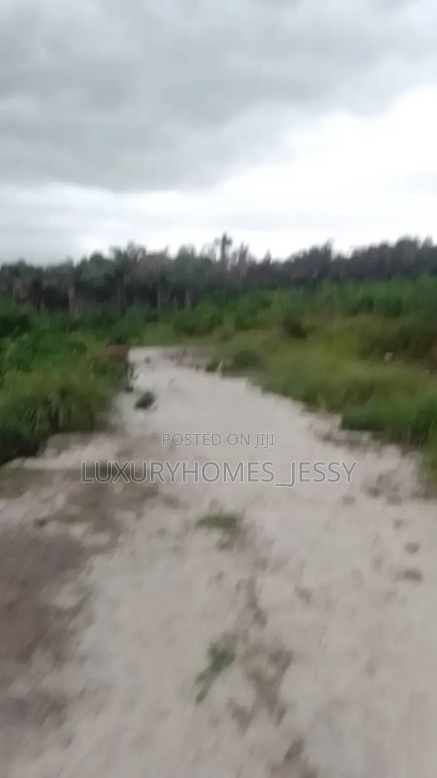 Distress Land for Sale at Atani/ Ogbaru Expressway Anambra in Idemili