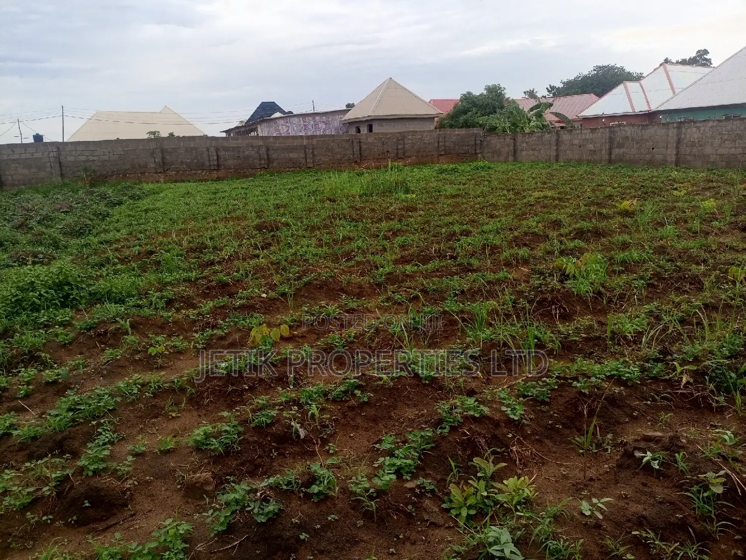 100x100 Plot of Land That Is Fenced in Makurdi