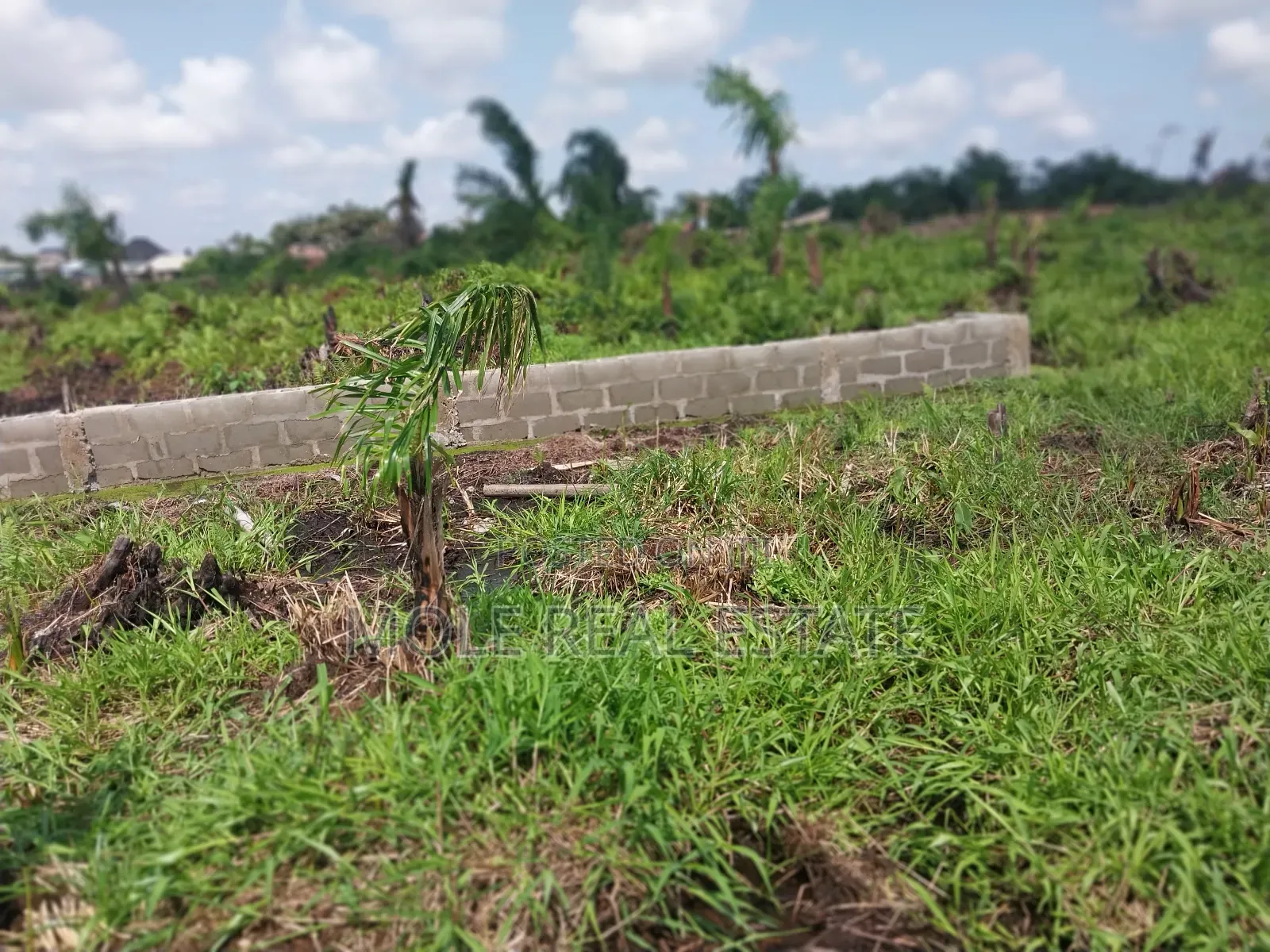 Masive Acres of Land by Mma Airport Iikeja in Mafoluku