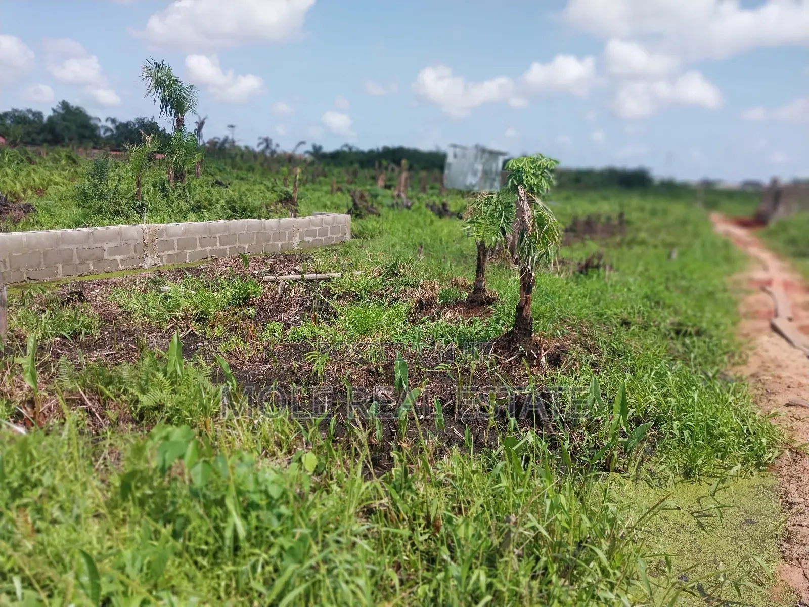 Masive Acres of Land by Mma Airport Iikeja in Mafoluku