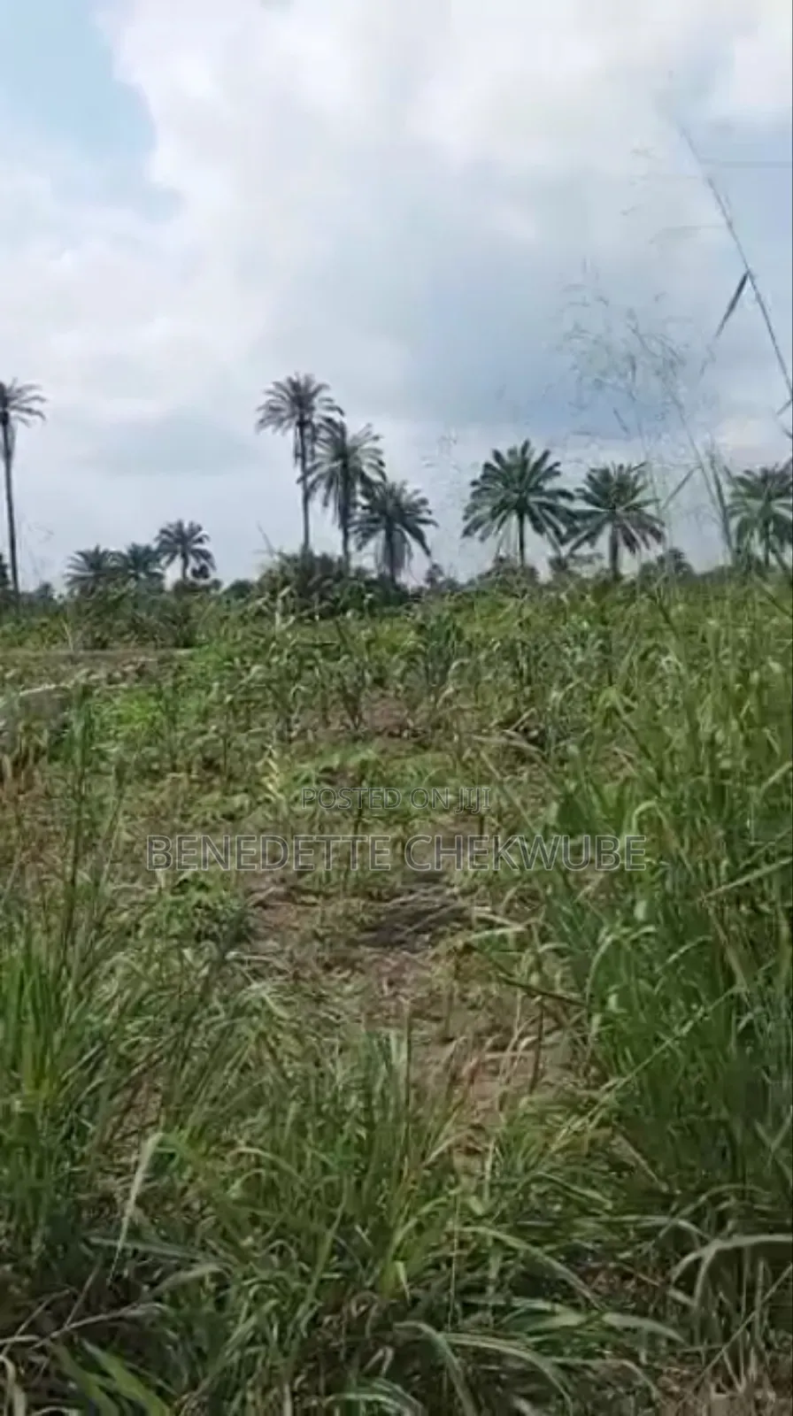 For Sale: 4 Plots in Port-Harcourt