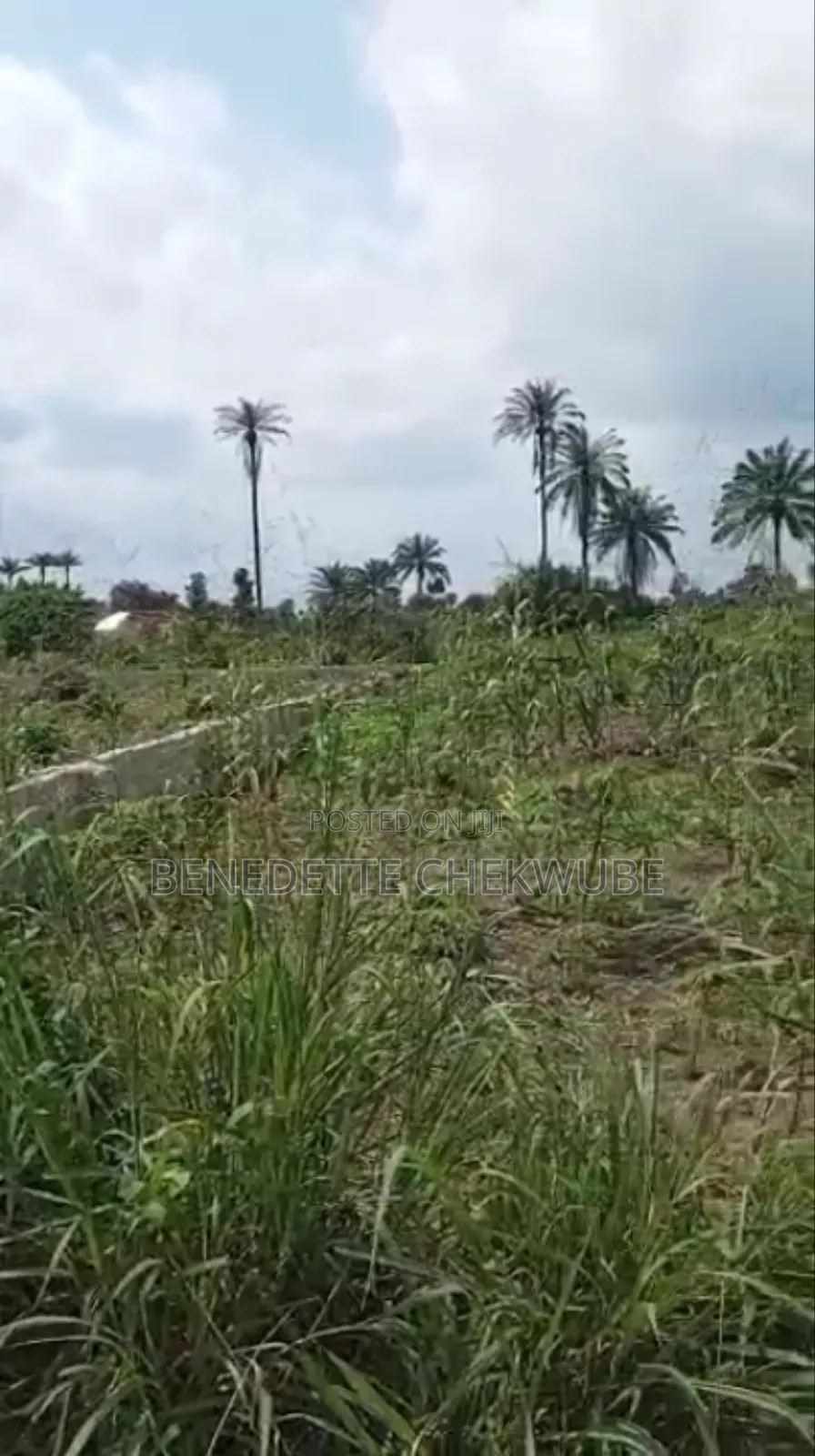 For Sale: 4 Plots in Port-Harcourt
