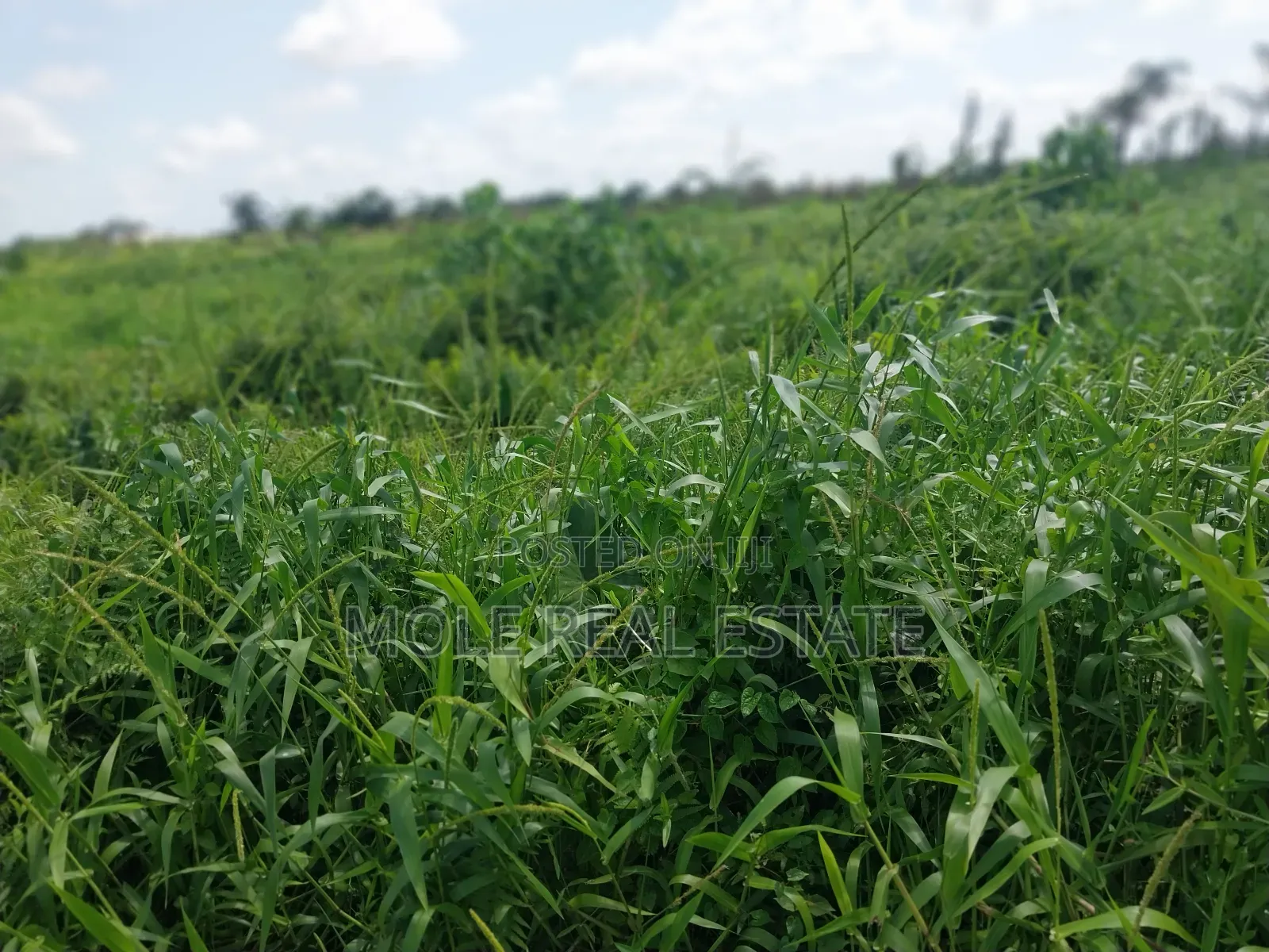 10 Plots in Block Ajah by Lagos Buisnes School Fenced Gated in Ajah