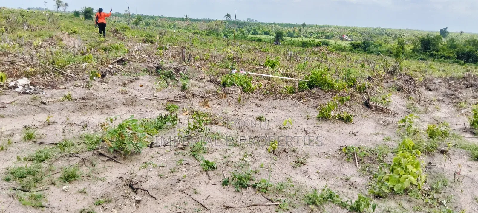 Farmdistrict and Resorts Ogun State in Odogbolu