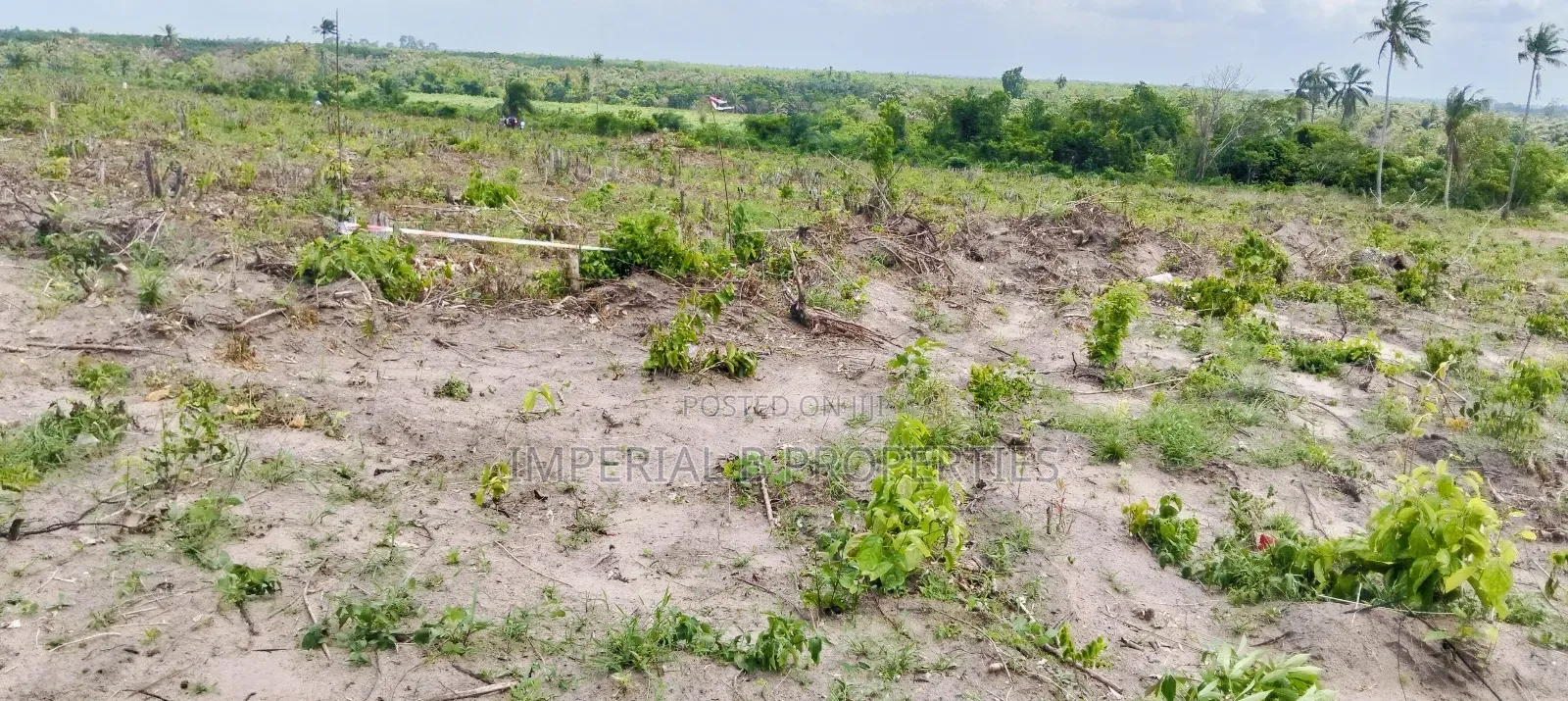 Farmdistrict and Resorts Ogun State in Odogbolu