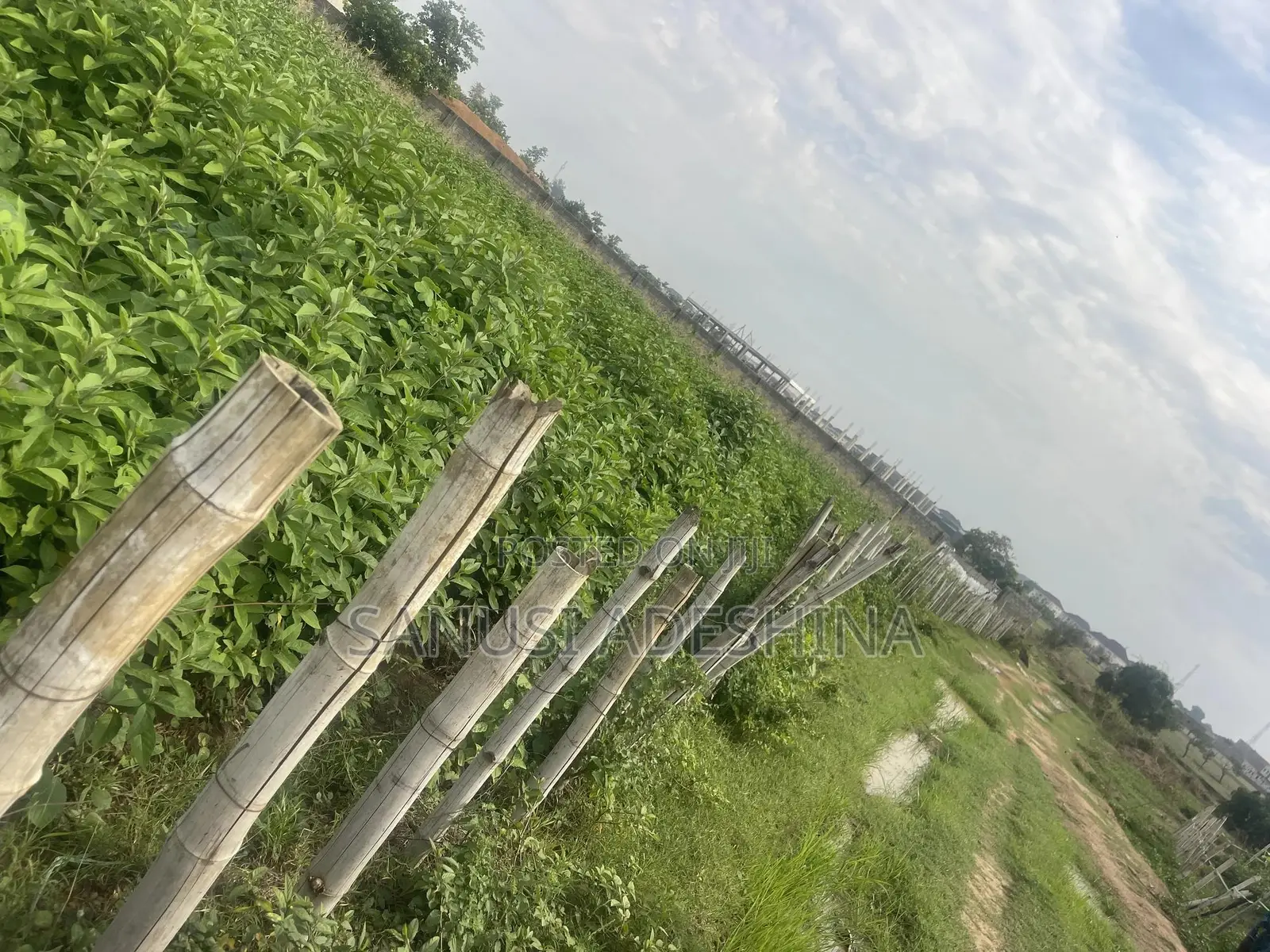 3500sqm of Residential Land at Life Camp Dape FCT Abuja Nige in Life Camp