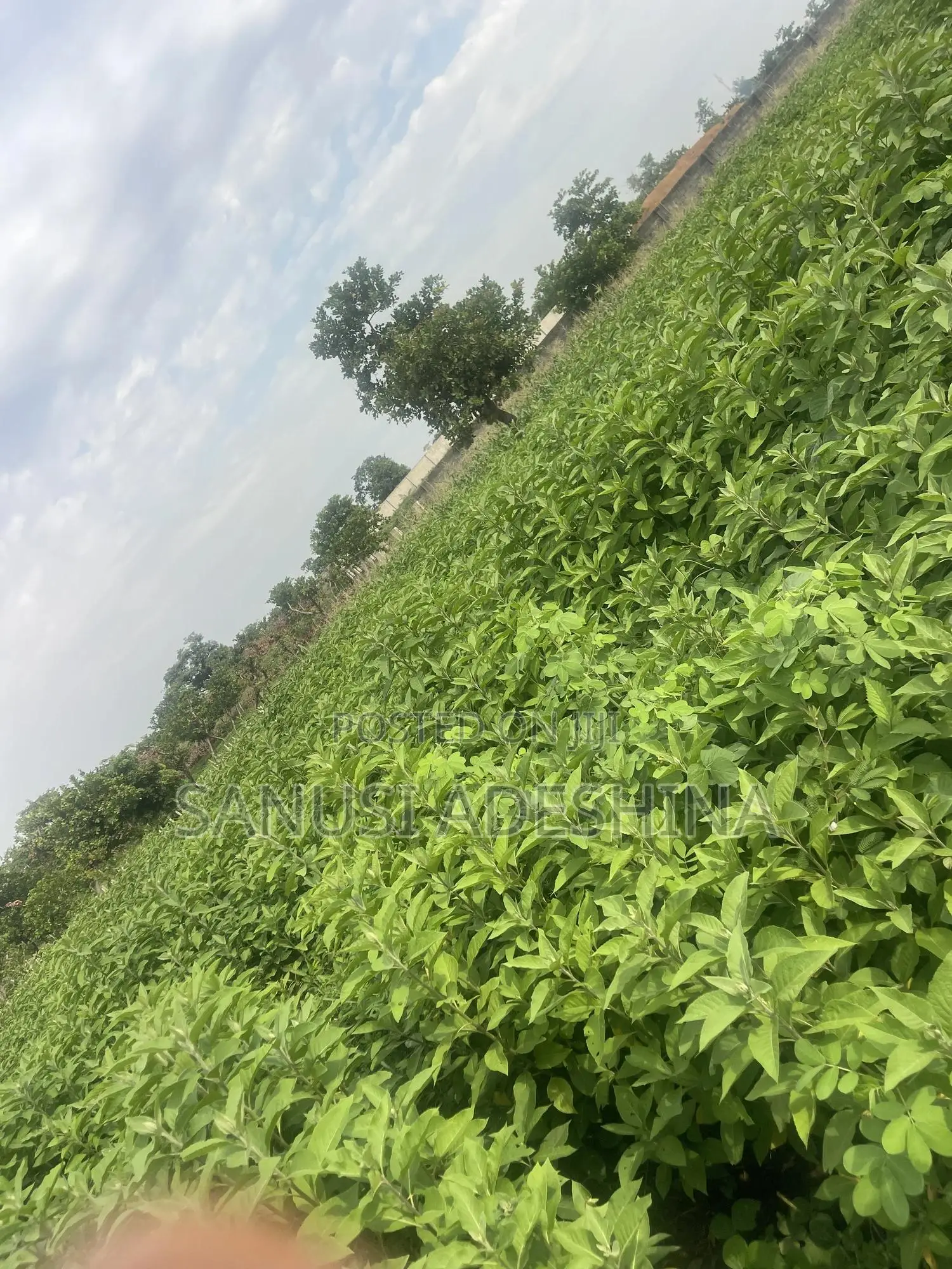 3500sqm of Residential Land at Life Camp Dape FCT Abuja Nige in Life Camp
