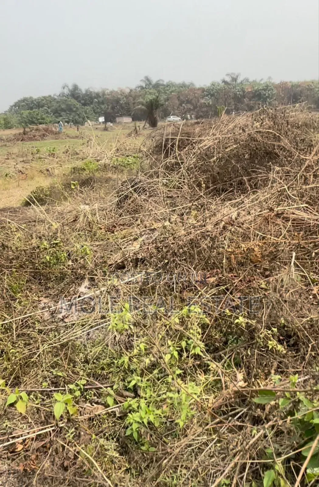 829sq. Plot Ocean Bay Estate Orchid Fully Developed Area in Lekki