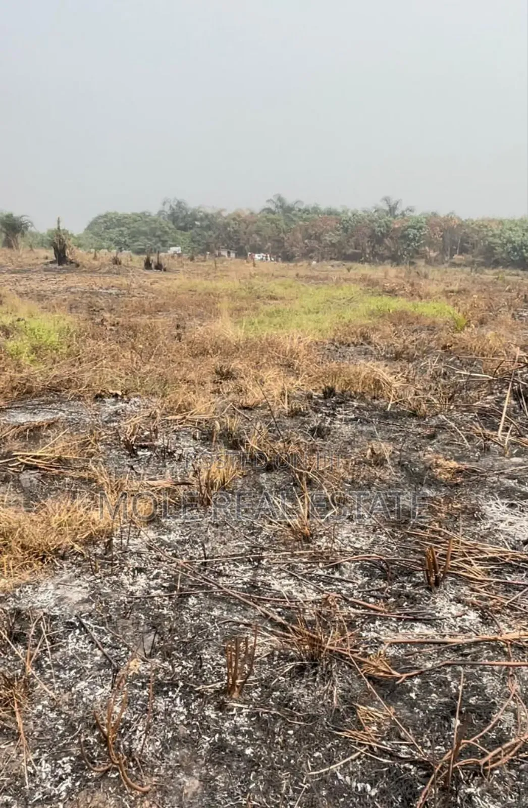 1200sqm Imason Community Ibeju Leki Lagos in Ibeju