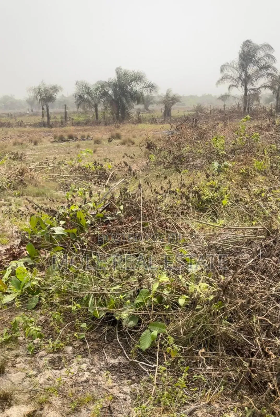 1200sqm Imason Community Ibeju Leki Lagos in Ibeju