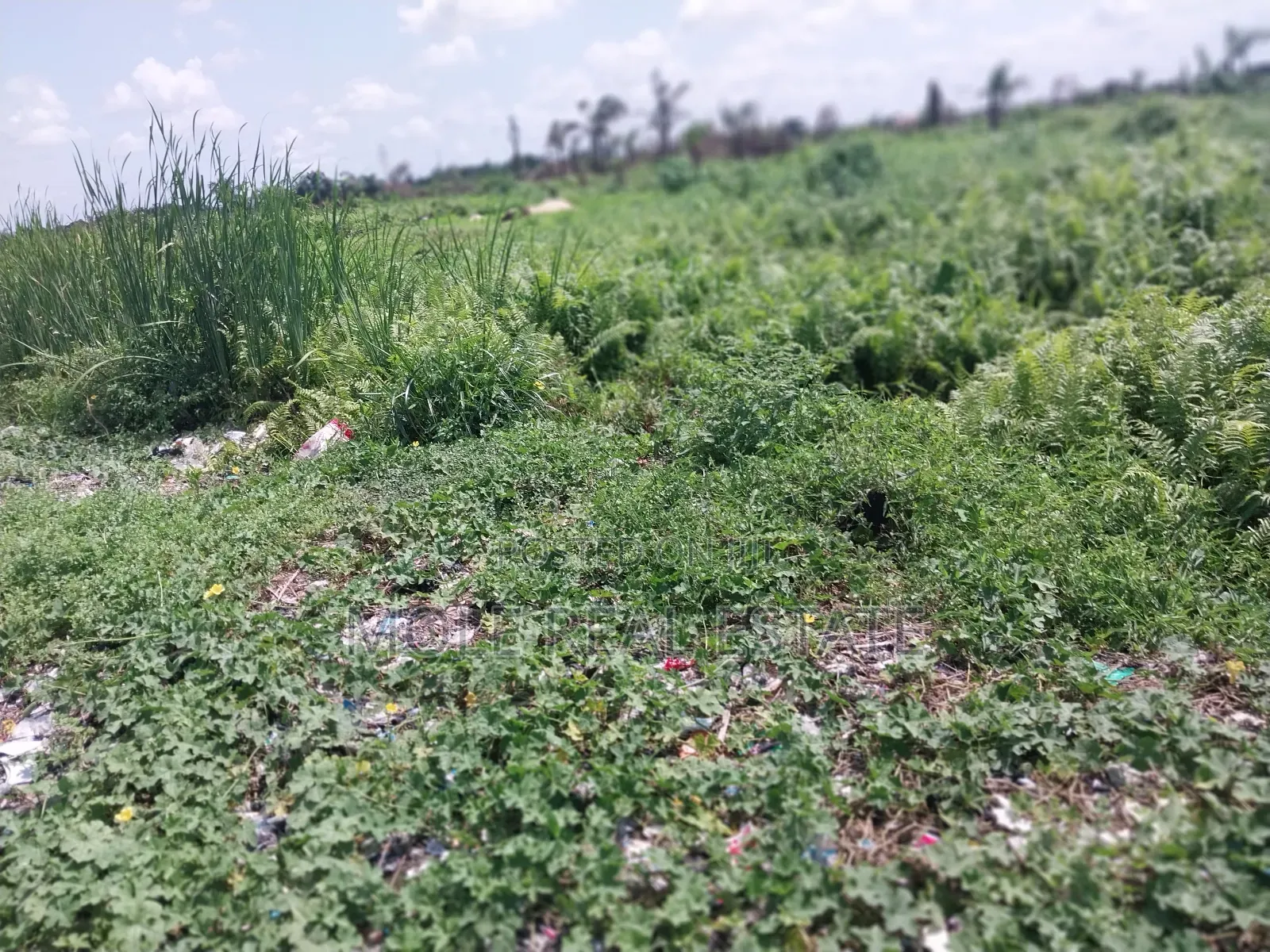 117 Plots Facing Leki Epe Way Awoyaya in Ibeju