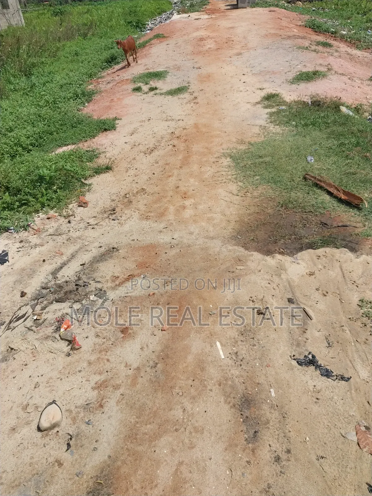 4 Plots Faciny Leki Epe Way Olokonla Ajah in Olokonla
