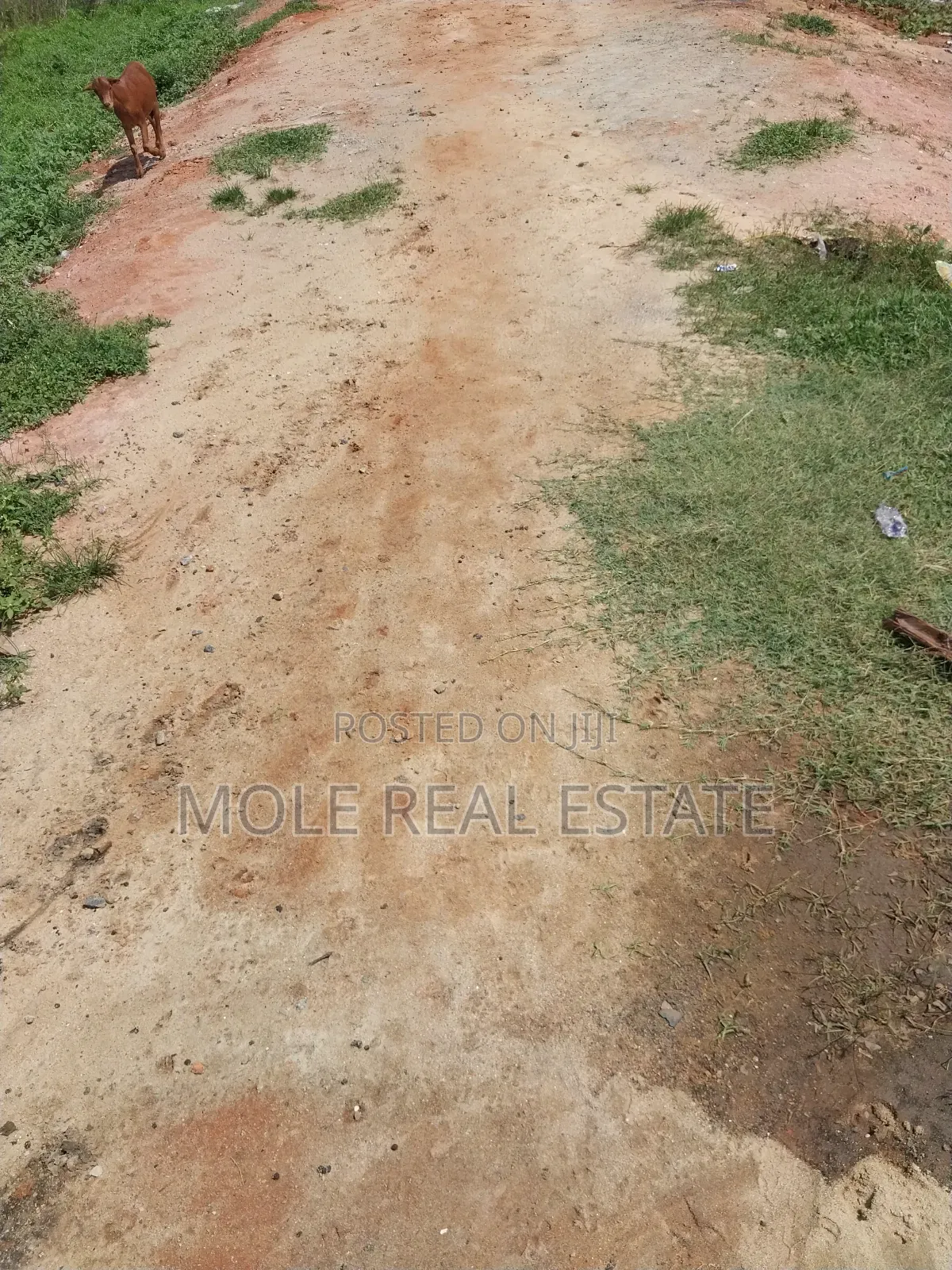 Hot Sales/Joint Venture Atlantic Nominee Estat Leki Ajah Way in Lekki