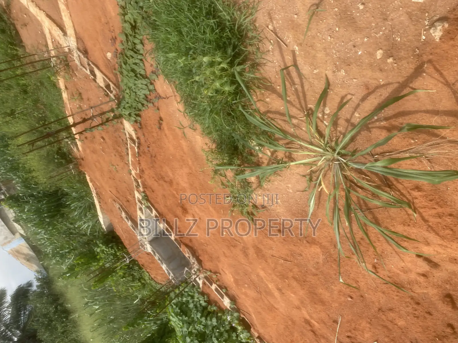 A Complete Half Plot of Land in a Serene and Mini Estate in Abule Egba