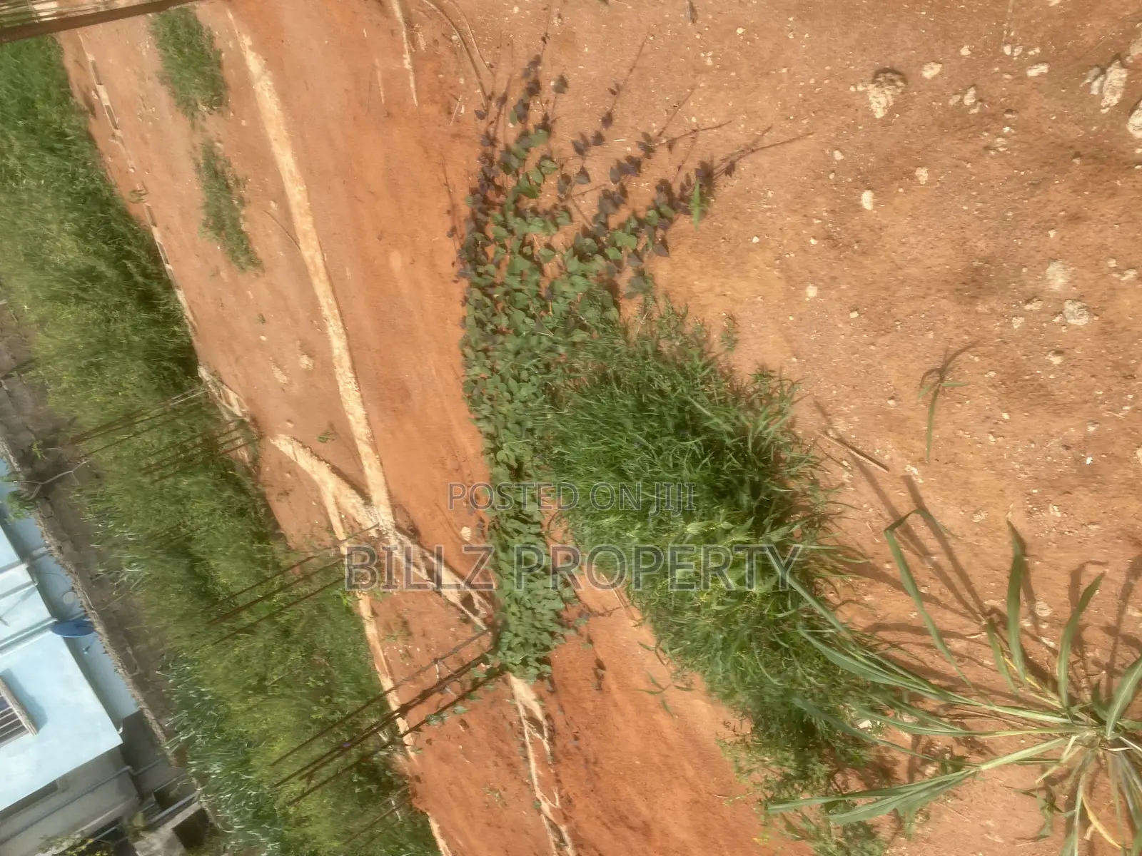 A Complete Half Plot of Land in a Serene and Mini Estate in Abule Egba