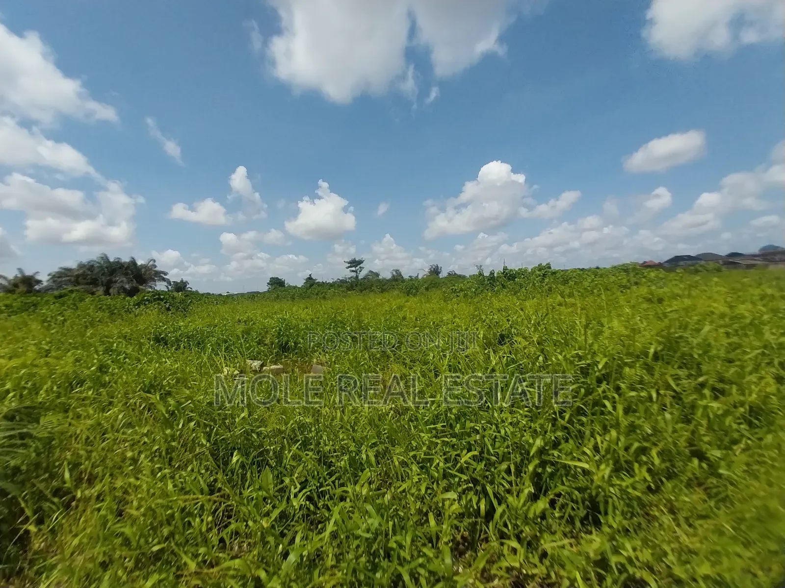 Over 400 Acres of Land in Mowe Through Redeem in Obafemi-Owode