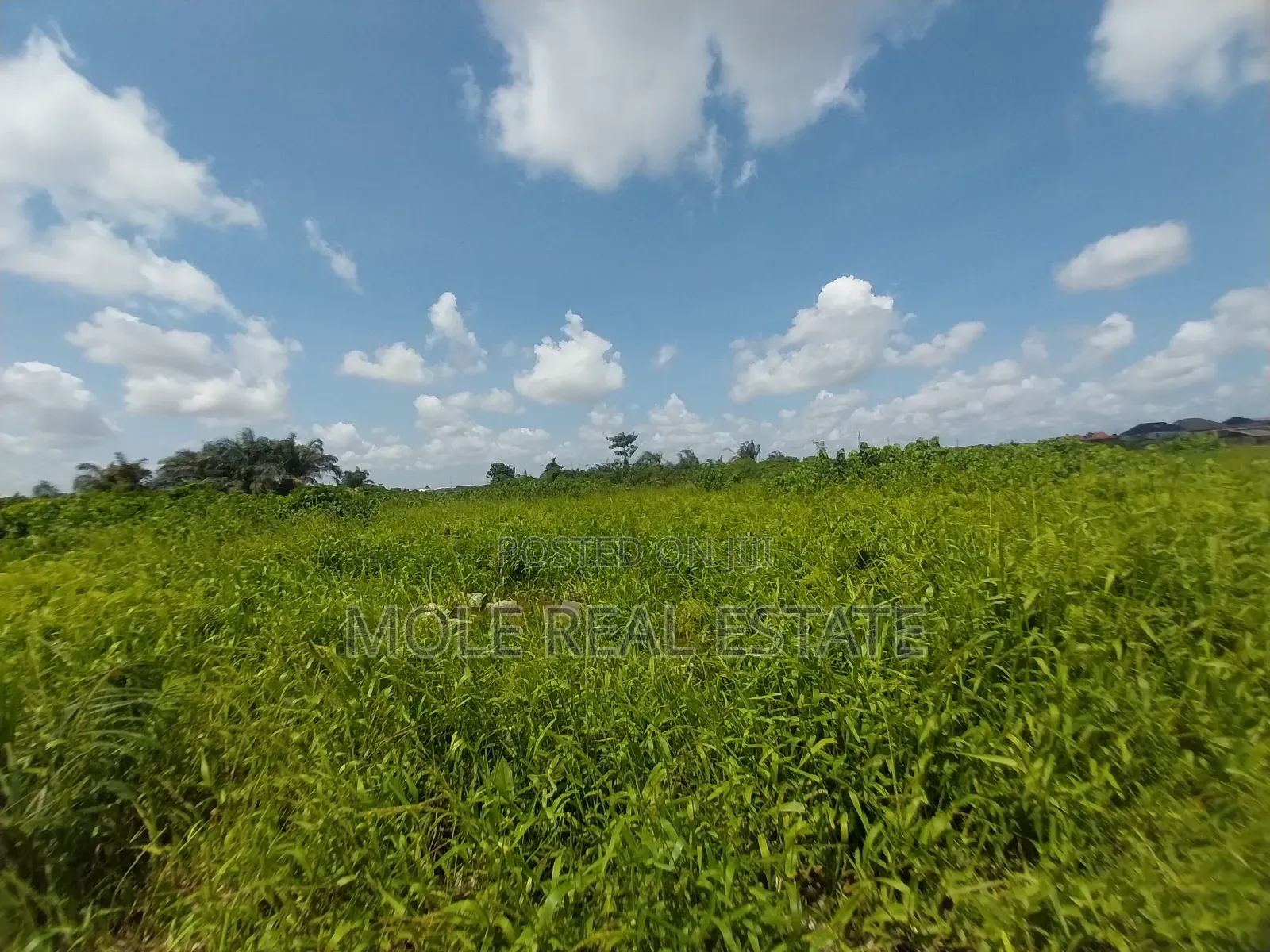 Over 400 Acres of Land in Mowe Through Redeem in Obafemi-Owode