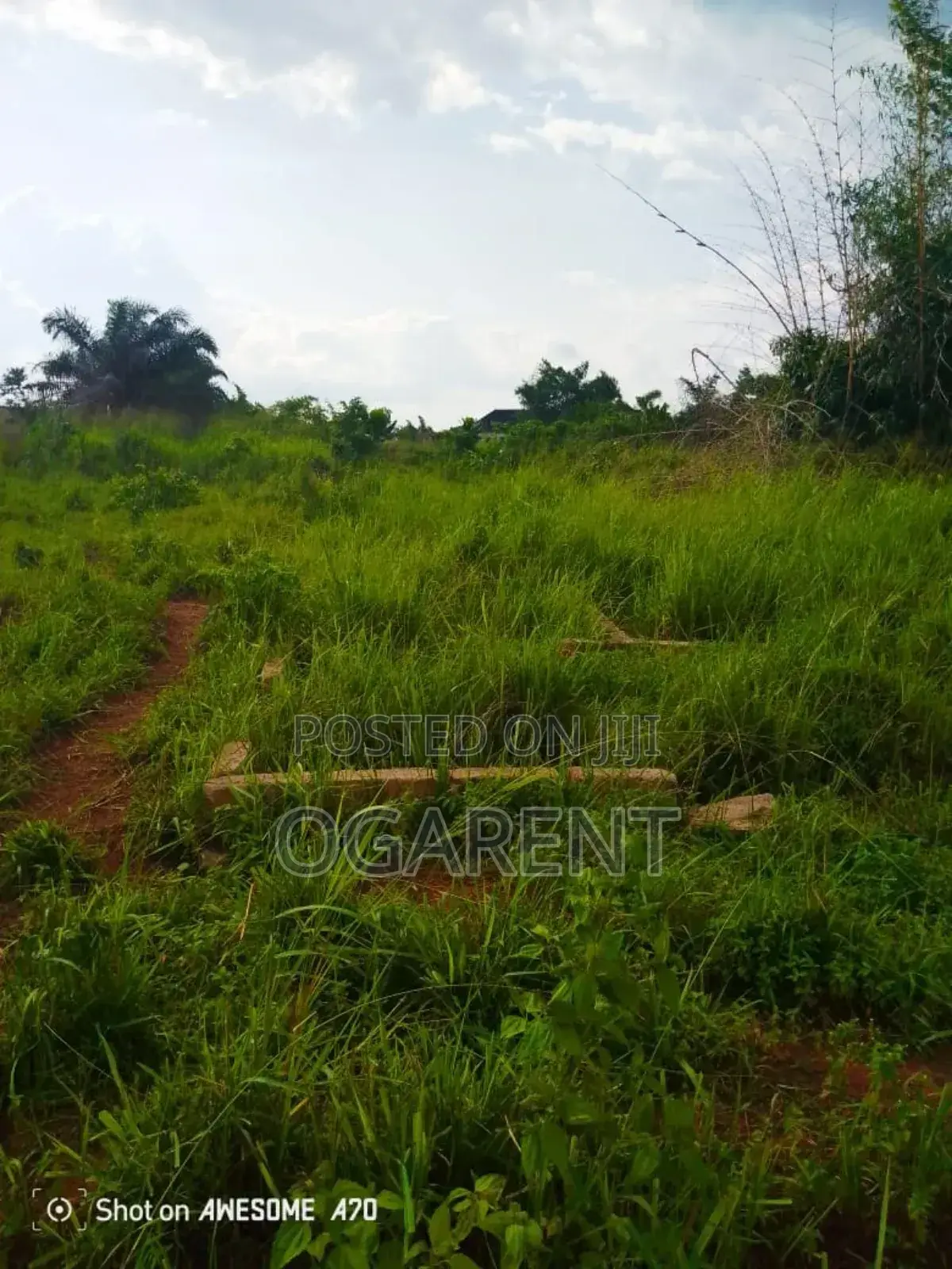 Land Measuring 100*100at Egba in Benin City