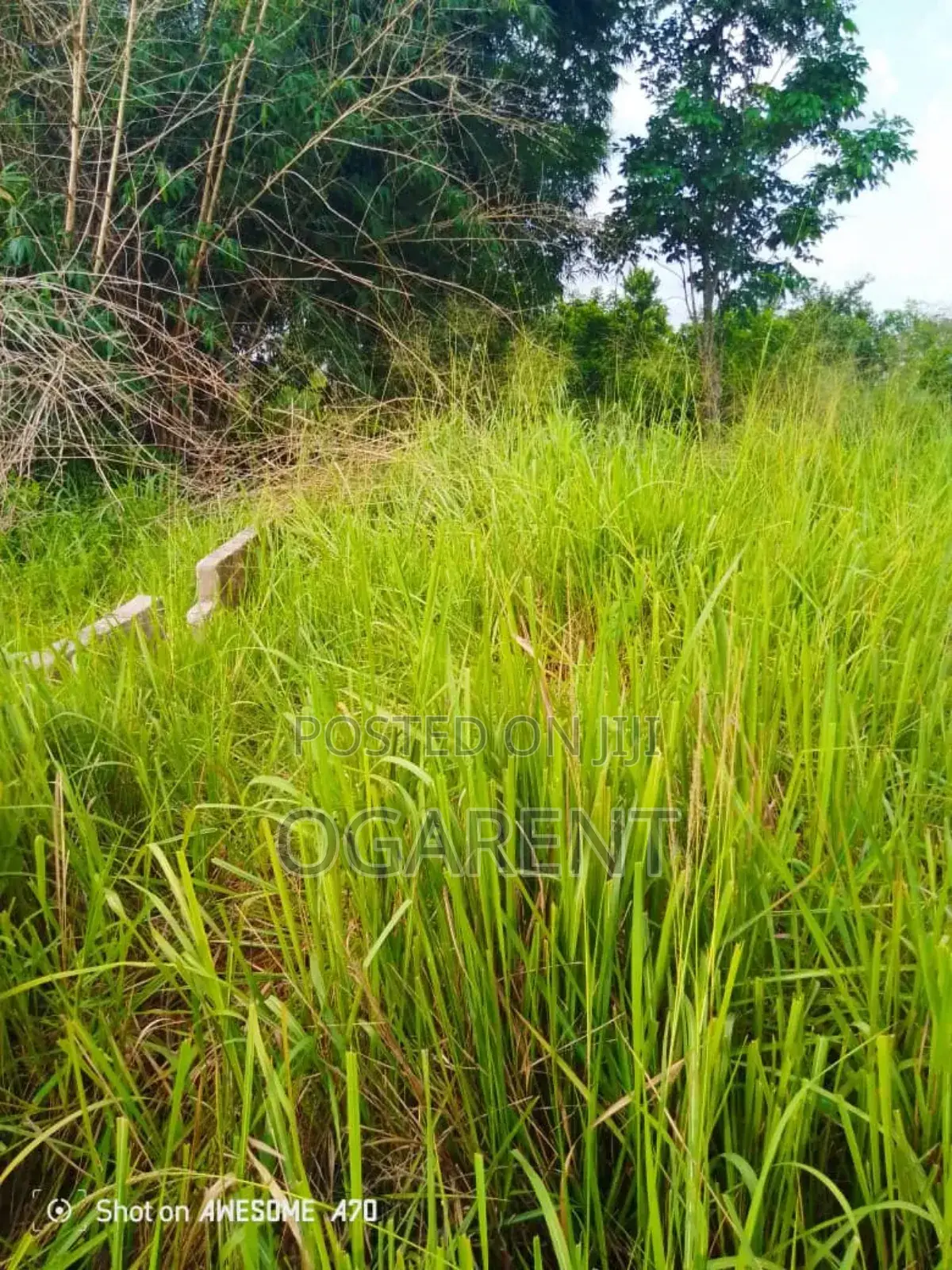 Land Measuring 100*100 at Egba in Benin City