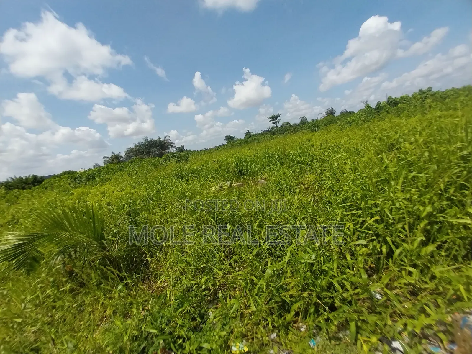 600sqm Full Plot With Demolishable Air Force Shasha Akuwonjo in Shasha