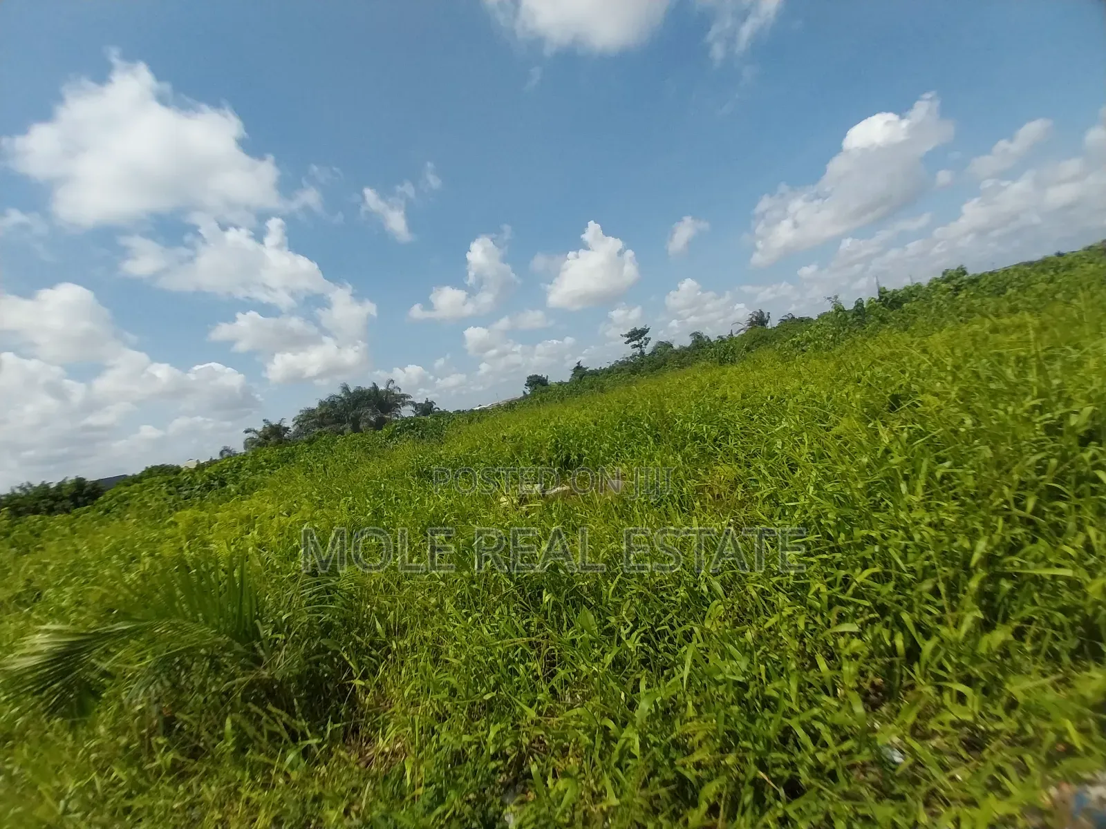 700sqm Fenced Gated ( Roi)Facing Oba Akran Way Ikeja in Oba Akran