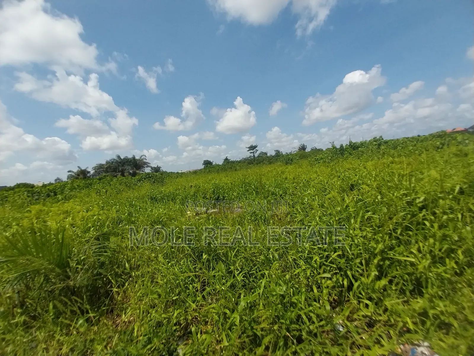 700sqm Fenced Gated ( Roi)Facing Oba Akran Way Ikeja in Oba Akran