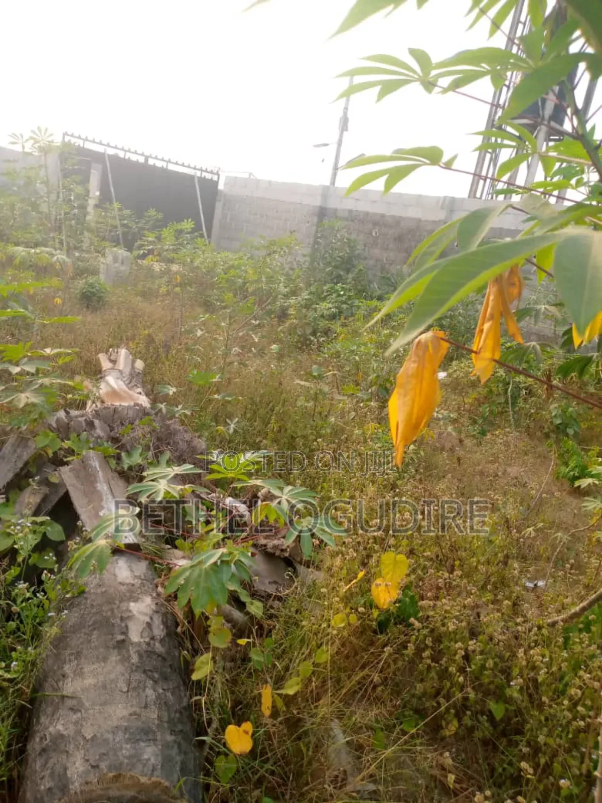 Land in Good Location in Port-Harcourt