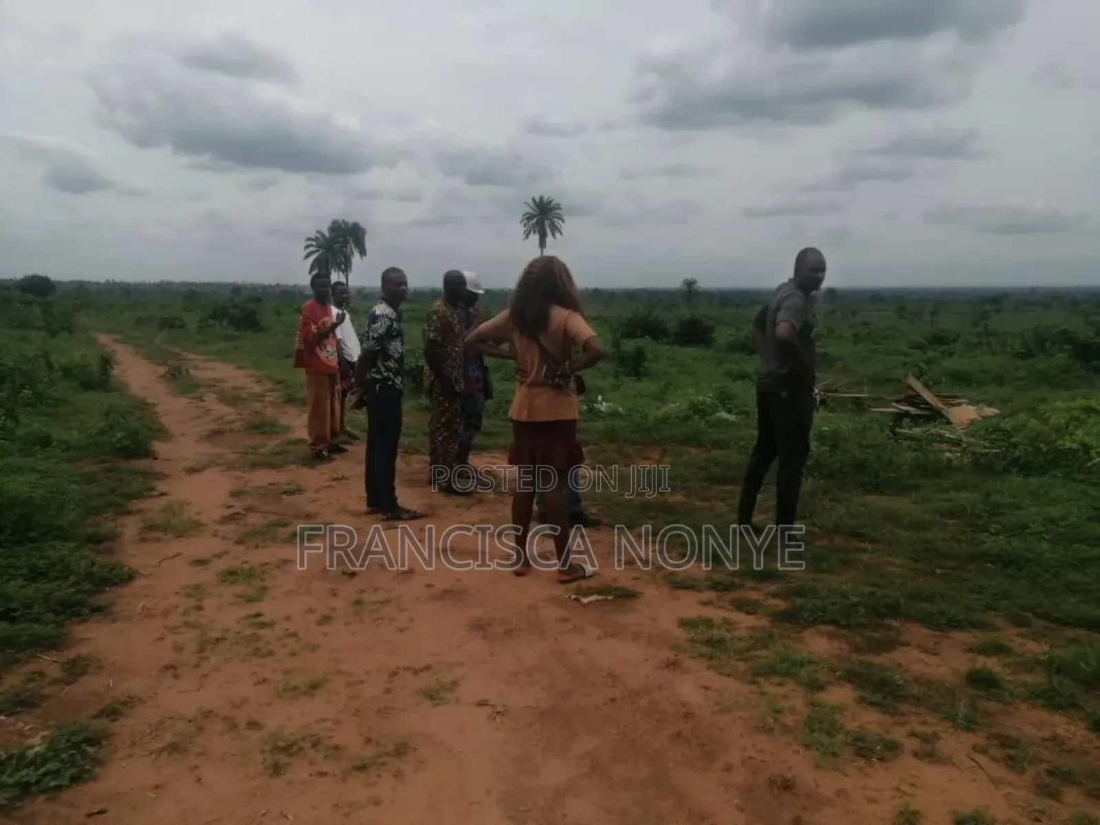 High Way to Financial Freedom in Oyi