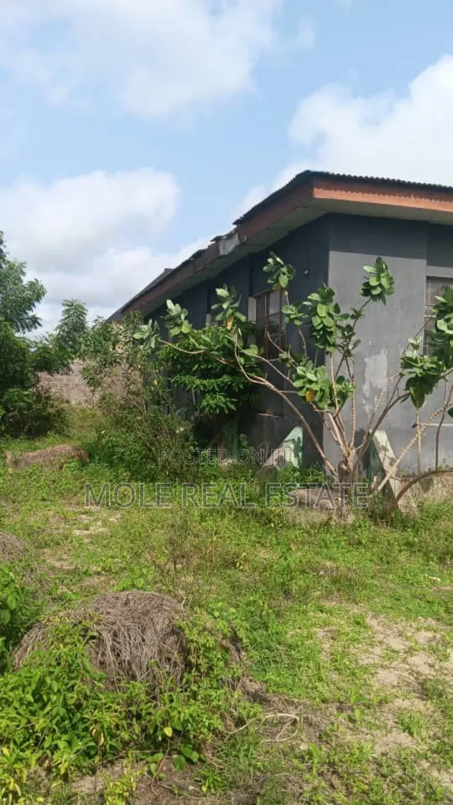 Full Plot Fenced Gated Shagari Estate Igbaja in Ipaja / Ipaja