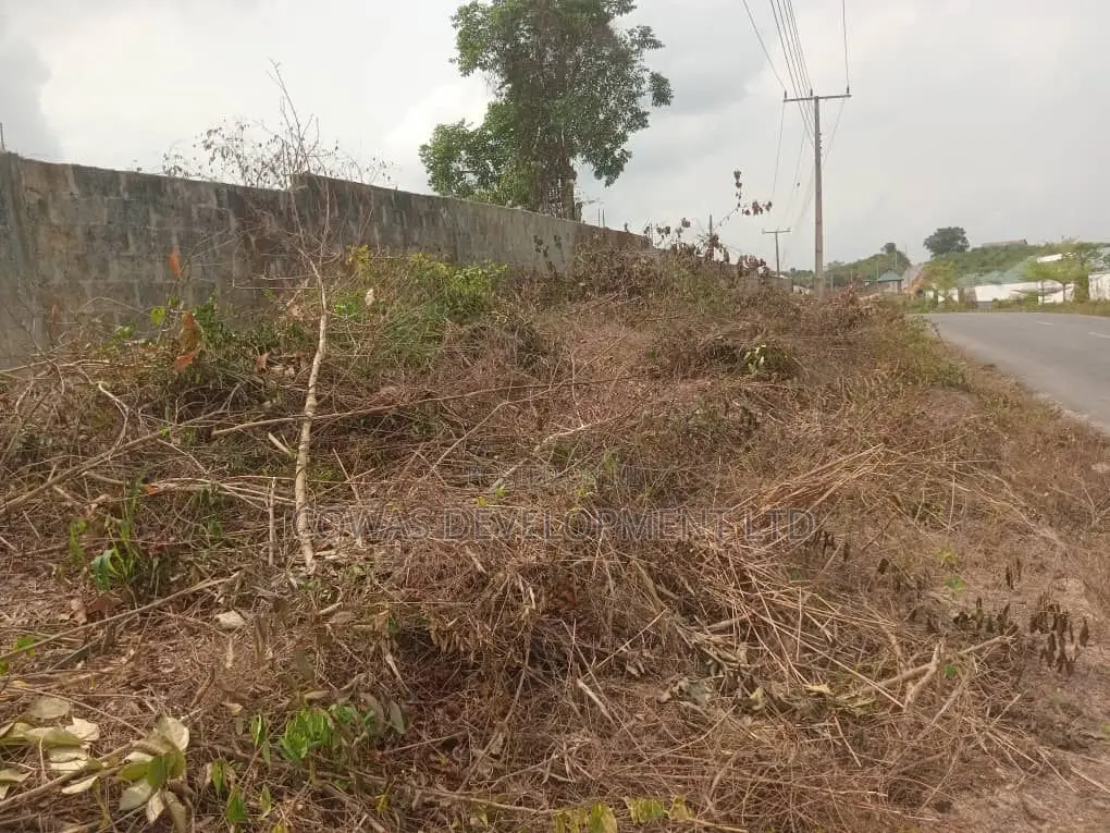 Cash-Ready Buyer Only - 128.5 Plots of Fenced Land in Epe in Epe