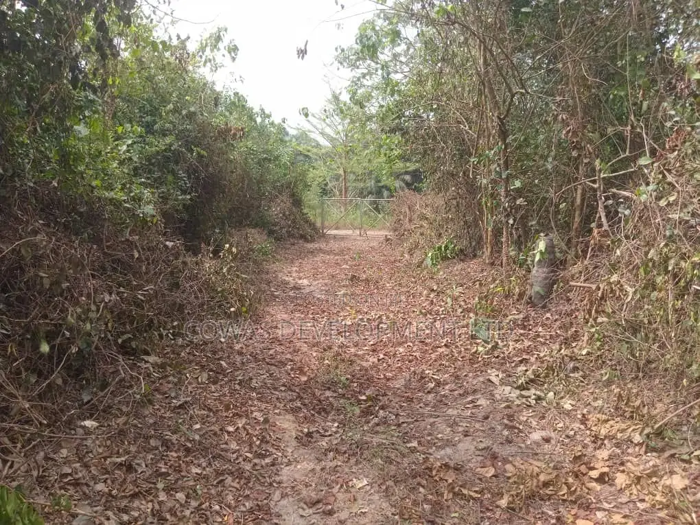 Cash-Ready Buyer Only - 128.5 Plots of Fenced Land in Epe in Epe