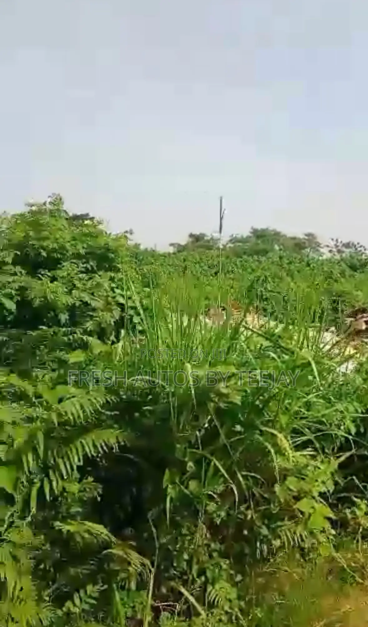 Land for Joint Venture Development! in Opebi