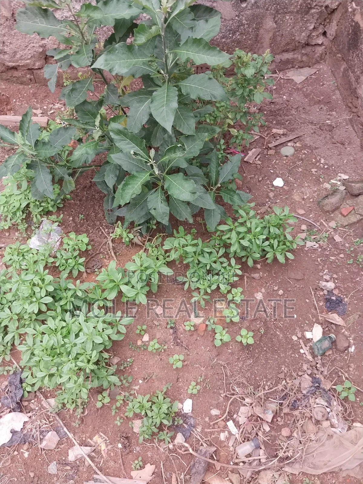 12 Hecters Bulk Chevron Land 4 Sale/ (Jv ) Joint Venture in Lekki