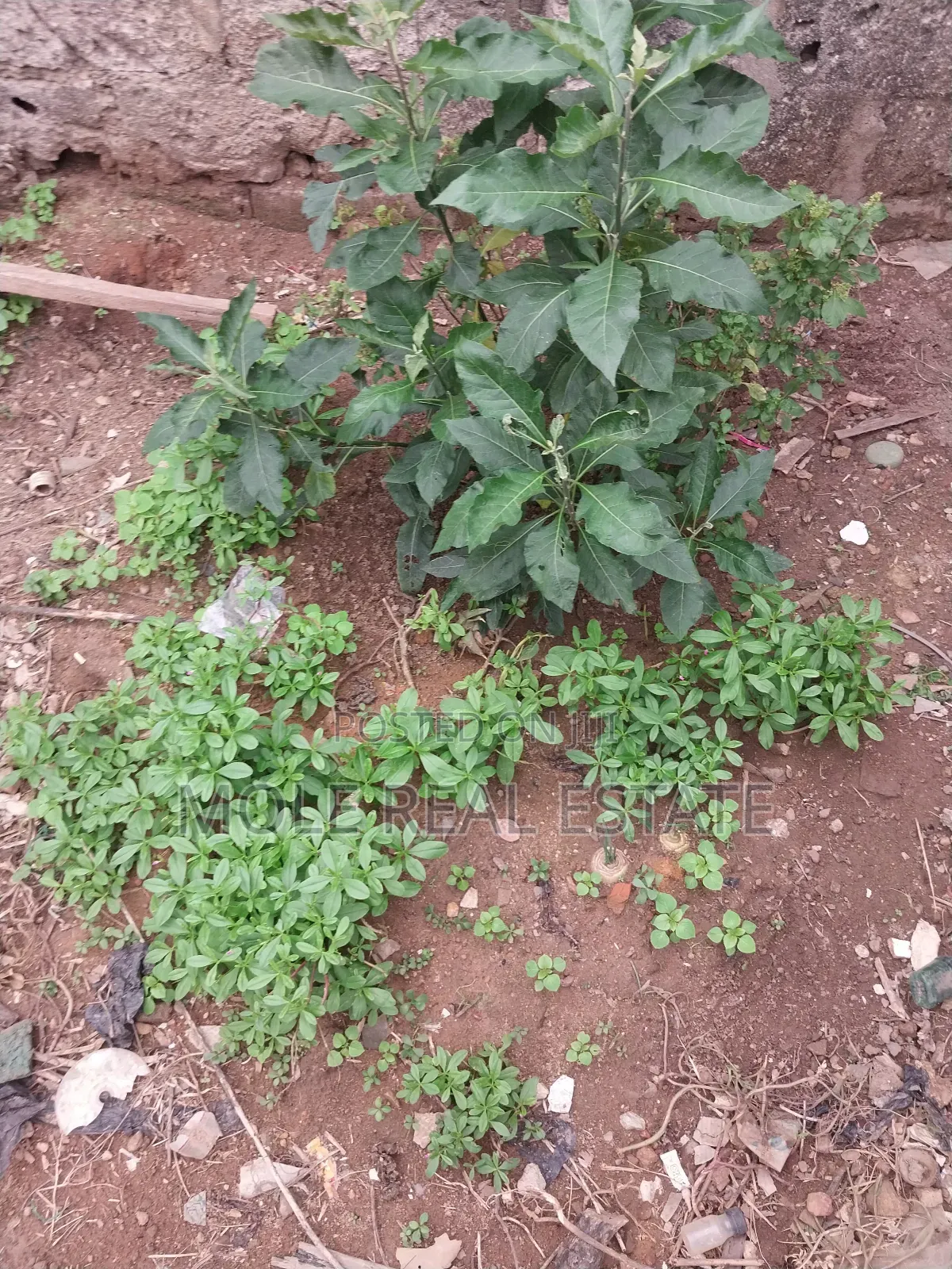 12 Hecters Bulk Chevron Land 4 Sale/ (Jv ) Joint Venture in Lekki