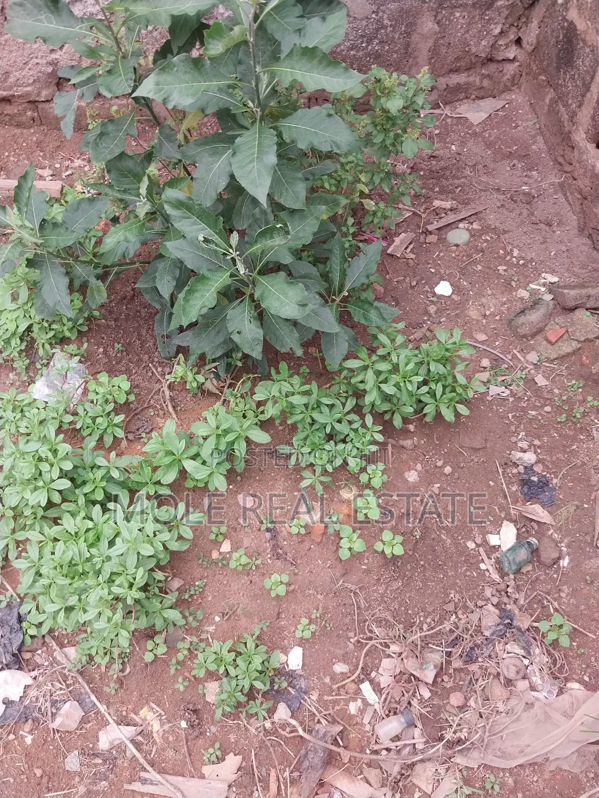 647sqm Joint Venture Aina Street Ojodu Ikeja in Ojodu