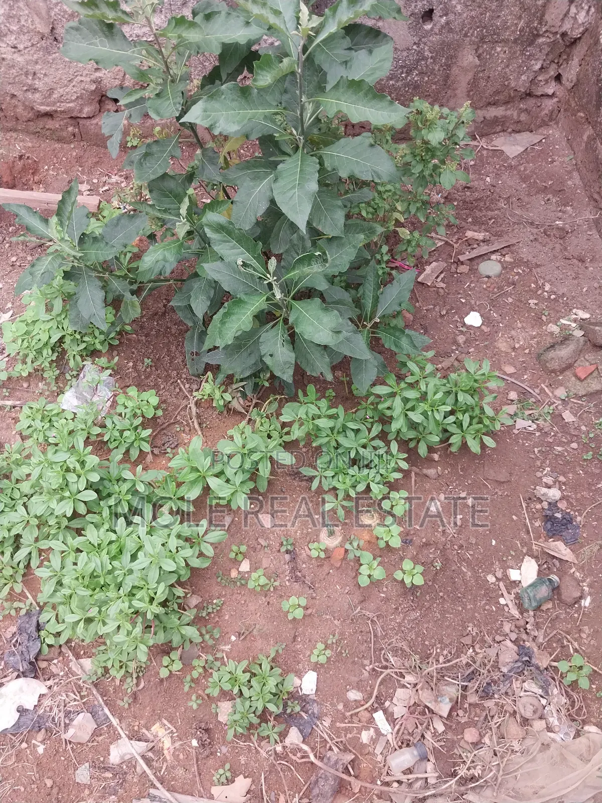 647sqm Joint Venture Aina Street Ojodu Ikeja in Ojodu