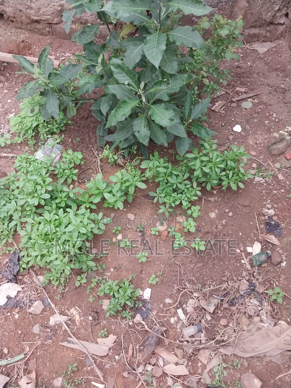 3 Acres of Dry Land (Roi ) Near the Rd Vespa Janikin Agbara in Agbara-Igbesan