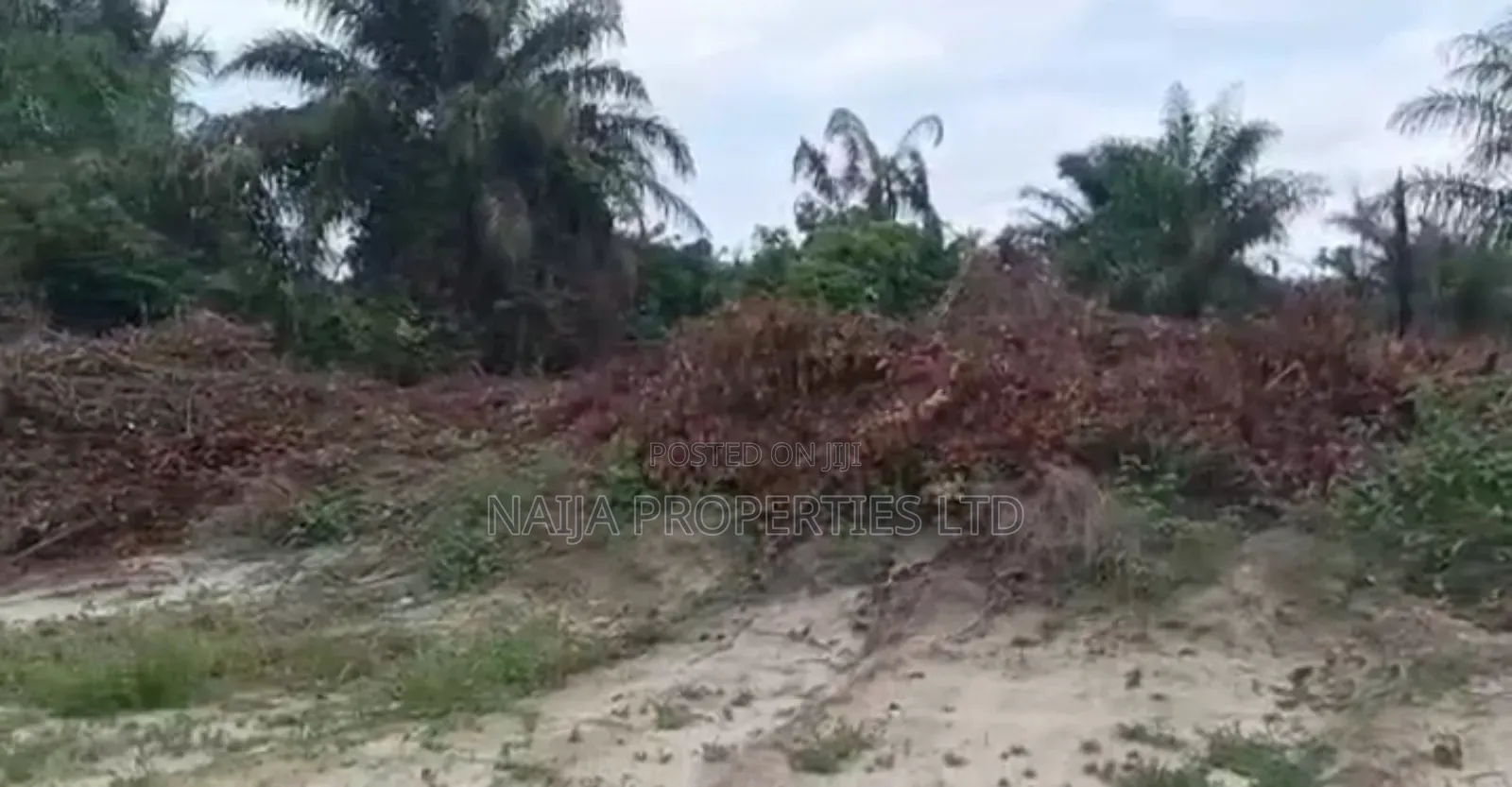 1000sqm of Land at Ajayi Apata Estate, Sangotedo for Sale in Sangotedo