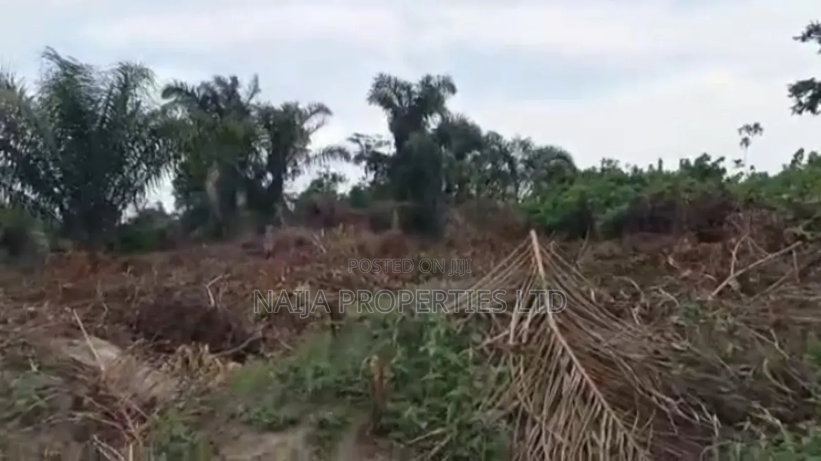 1000sqm of Land at Ajayi Apata Estate, Sangotedo for Sale in Sangotedo