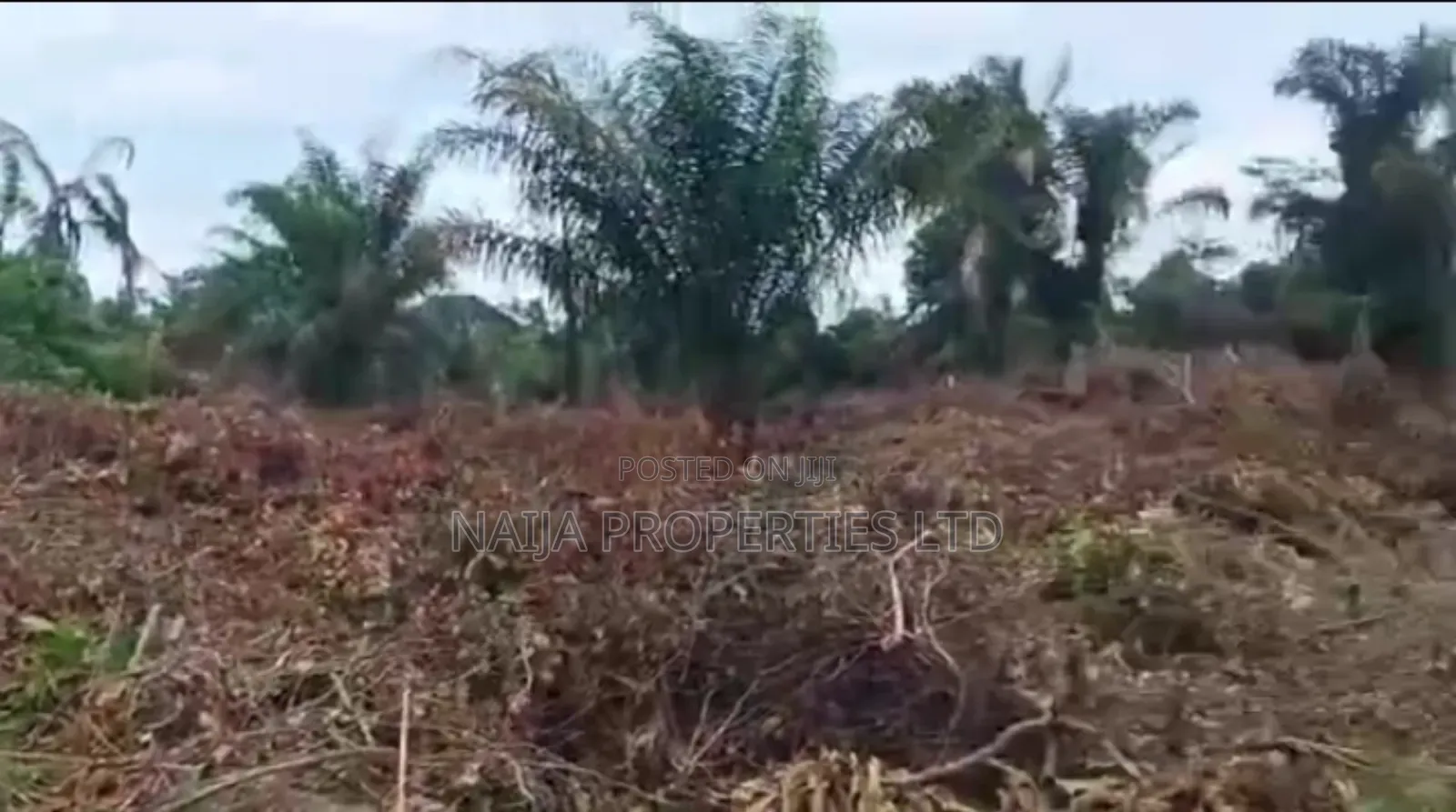 1000sqm of Land at Ajayi Apata Estate, Sangotedo for Sale in Sangotedo