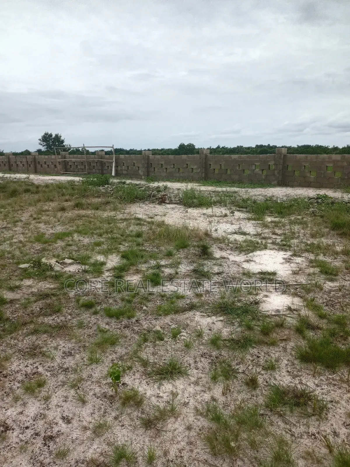 Buy 1 Acre and 1 Plot Free Iladi Ibefun Ogun State in Ijebu Ode