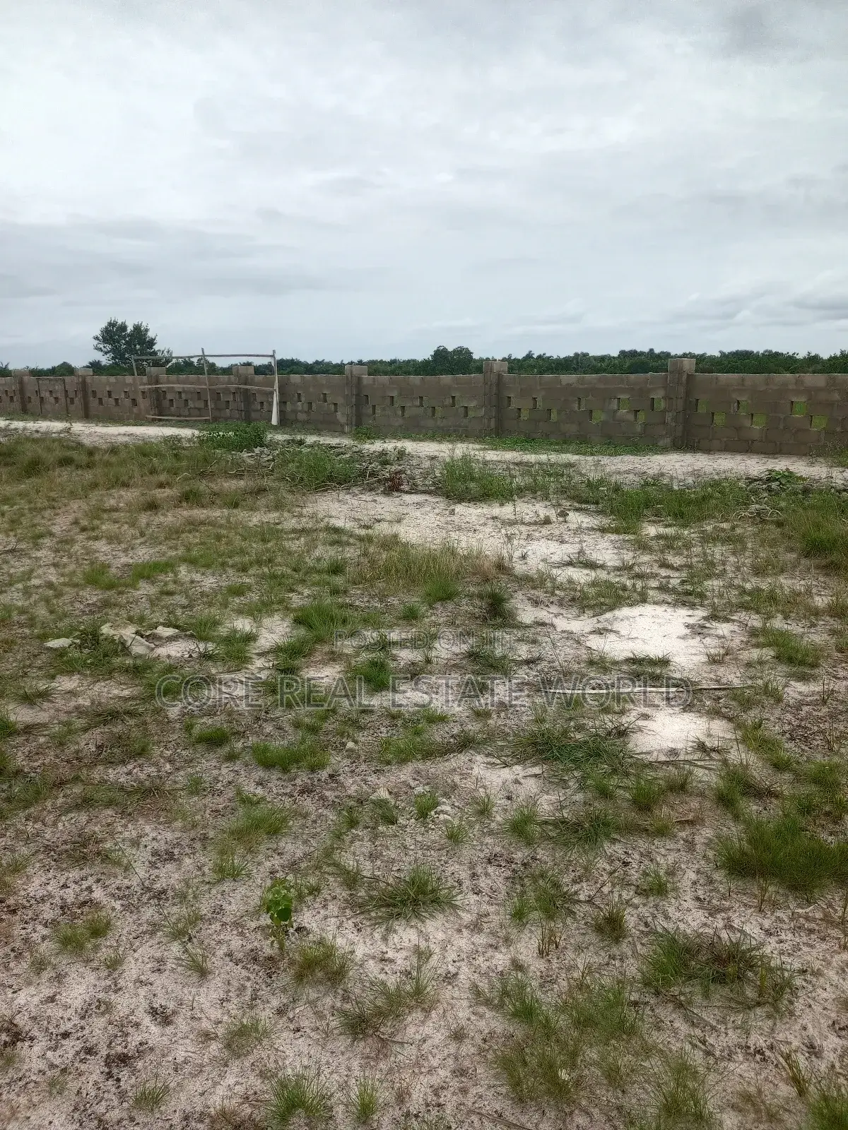 Buy 1 Acre and 1 Plot Free Iladi Ibefun Ogun State in Ijebu Ode