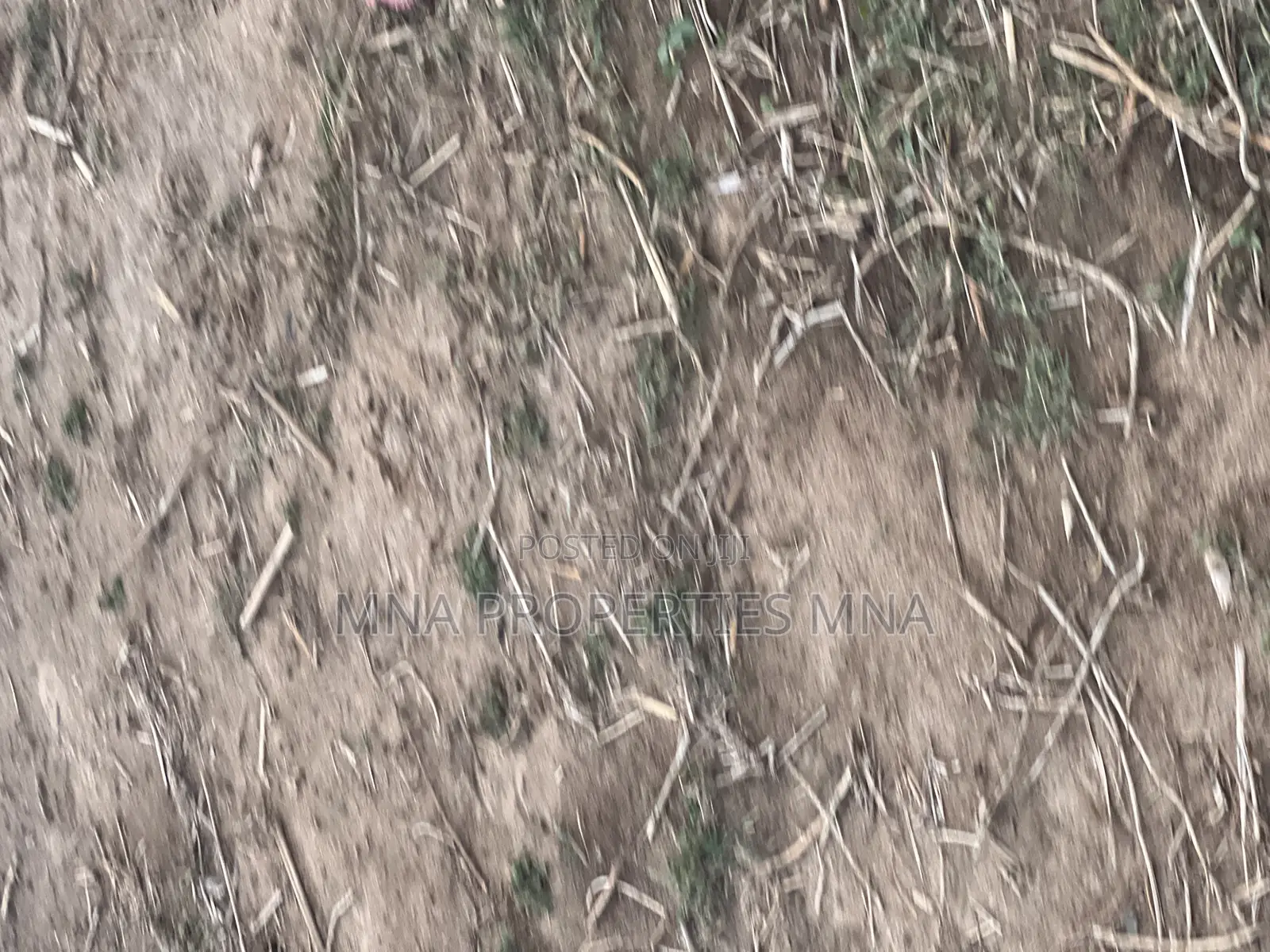 Double King Villa Guzape 2 in Guzape District